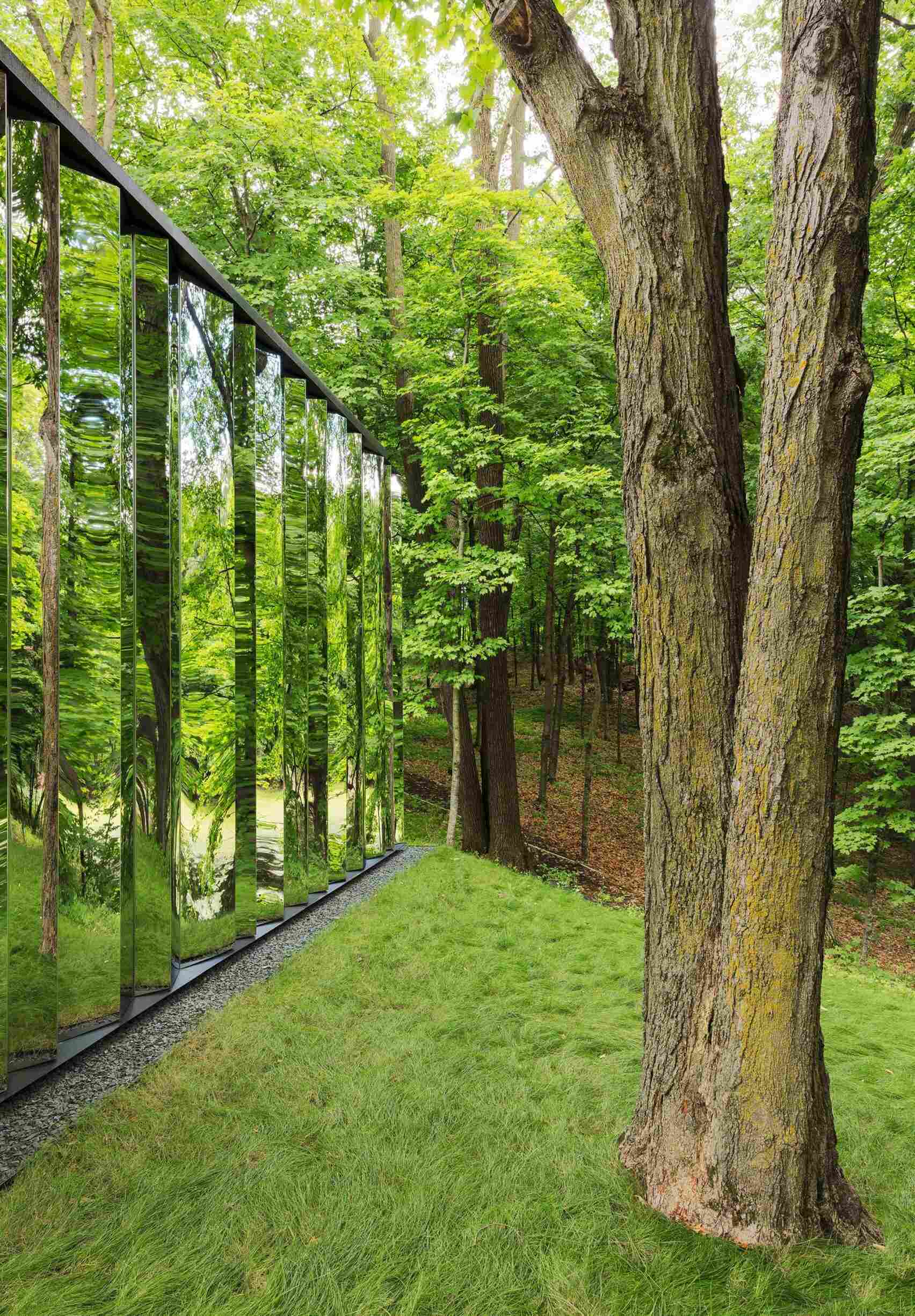 A reflective storage shed that melts into the woods with mirrored surfaces.