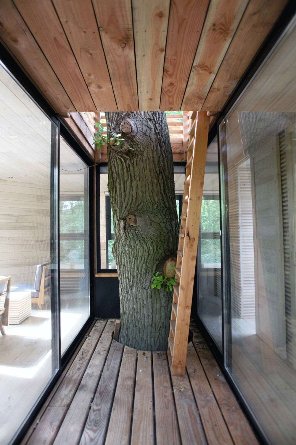 Inside the ORIGIN Treehouse, light poplar wood and panoramic windows create a warm, minimalist retreat suspended among ancient oaks.