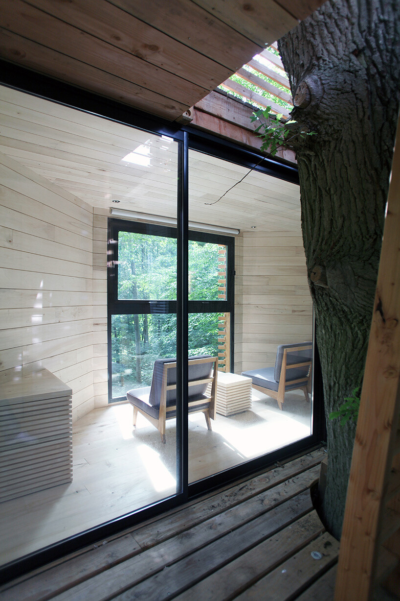 Inside the ORIGIN Treehouse, light poplar wood and panoramic windows create a warm, minimalist retreat suspended among ancient oaks.