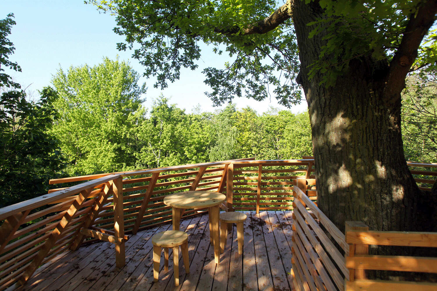 A hidden rooftop terrace crowns the ORIGIN Treehouse, offering breathtaking 360° views across the French forest canopy.