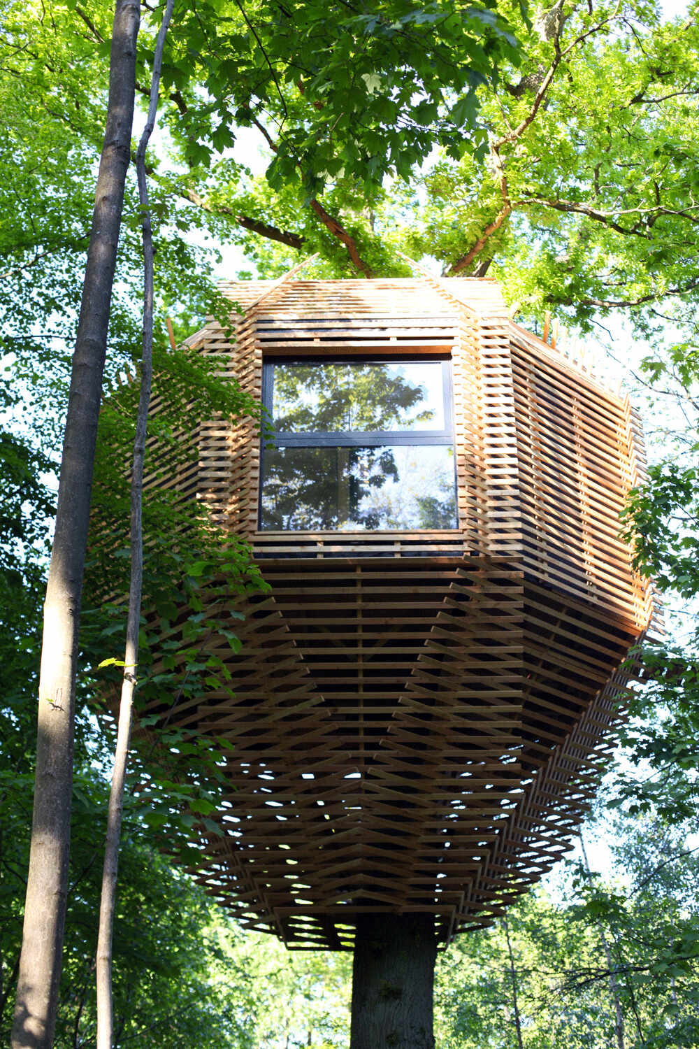 A stunning wooden treehouse by Atelier LAVIT, designed around a century-old oak with an elegant, nest-like form that blends seamlessly into the forest.