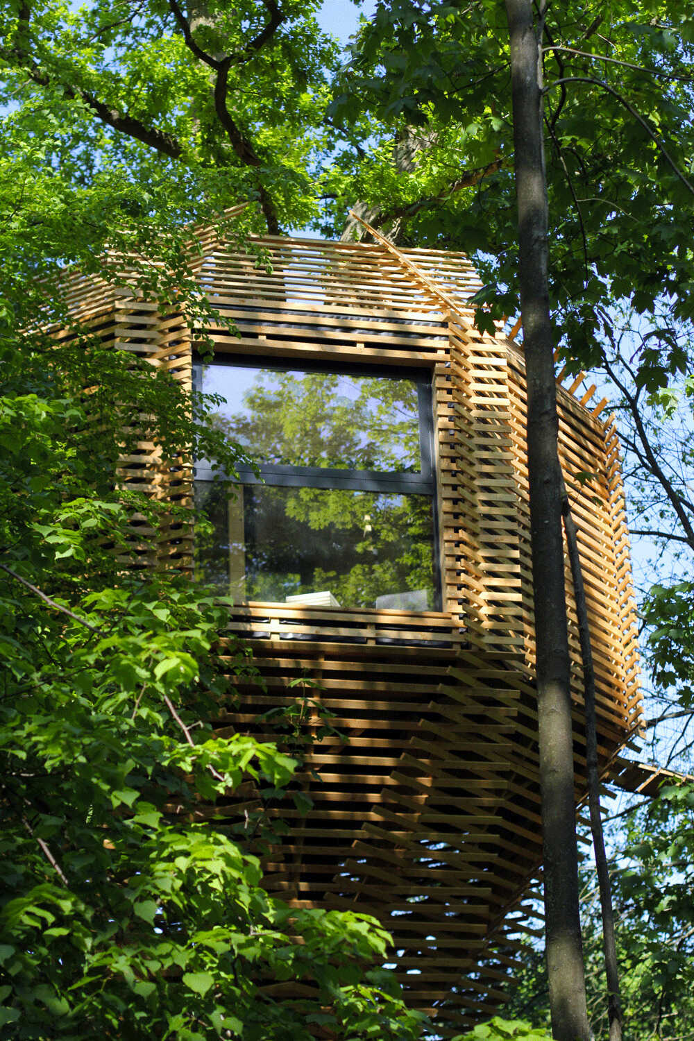 A stunning wooden treehouse by Atelier LAVIT, designed around a century-old oak with an elegant, nest-like form that blends seamlessly into the forest.