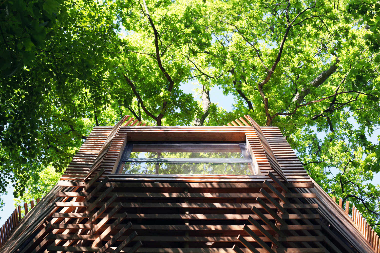 A stunning wooden treehouse by Atelier LAVIT, designed around a century-old oak with an elegant, nest-like form that blends seamlessly into the forest.