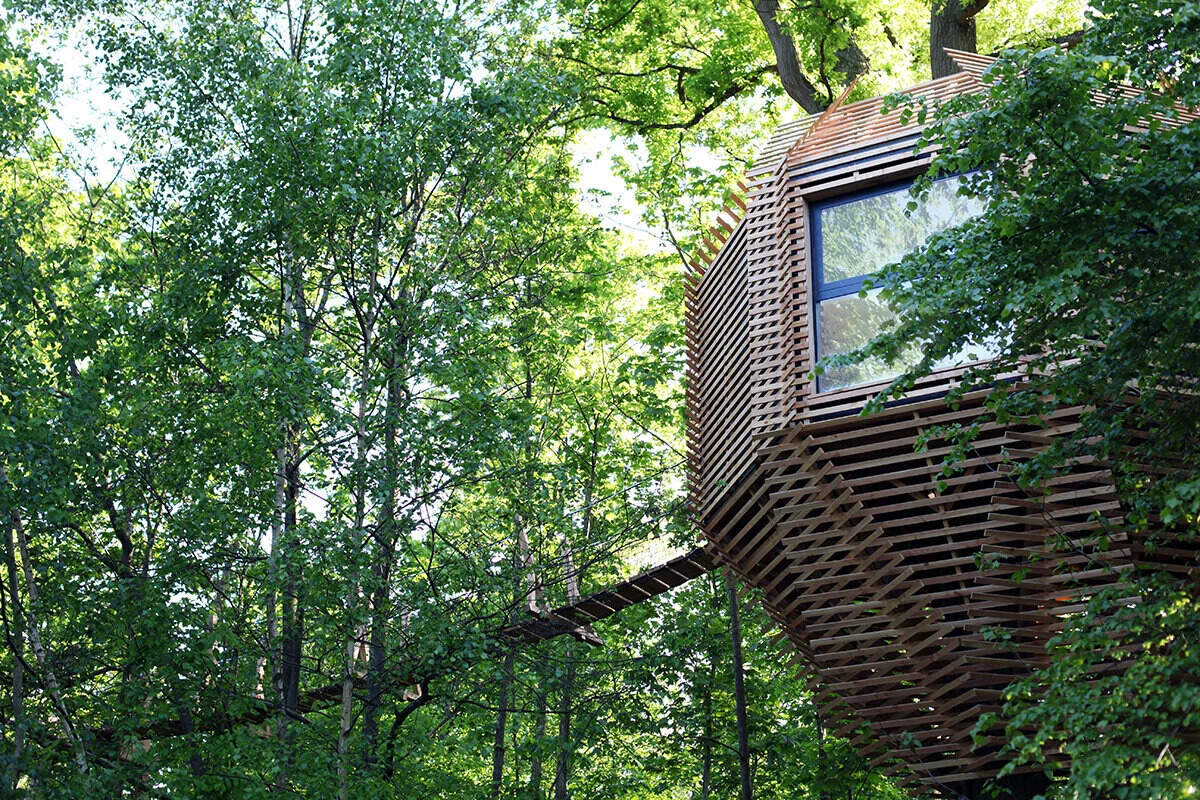 A stunning wooden treehouse by Atelier LAVIT, designed around a century-old oak with an elegant, nest-like form that blends seamlessly into the forest.