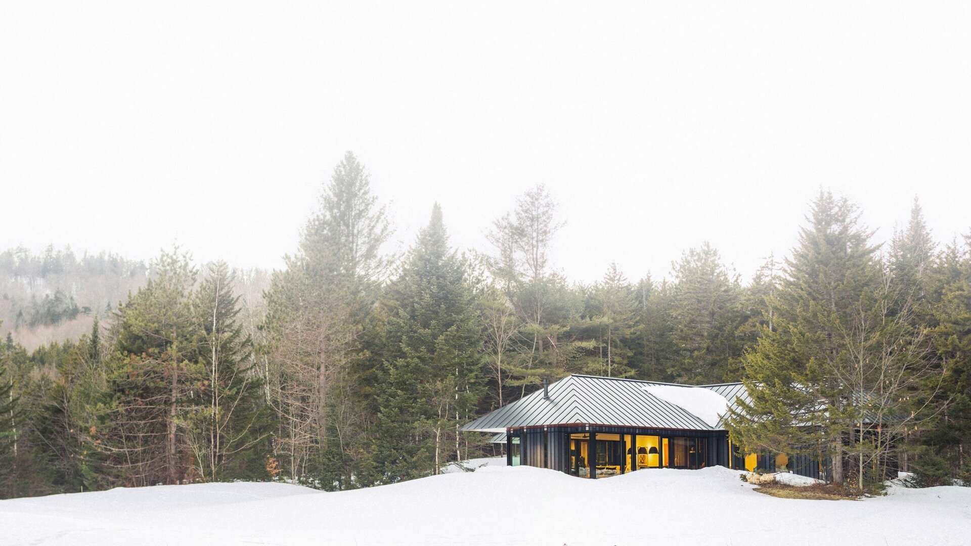 A secluded modern guest house in Vermont by Birdseye Design, featuring a razor-edged black roof and cedar soffits that blend effortlessly with the forest.