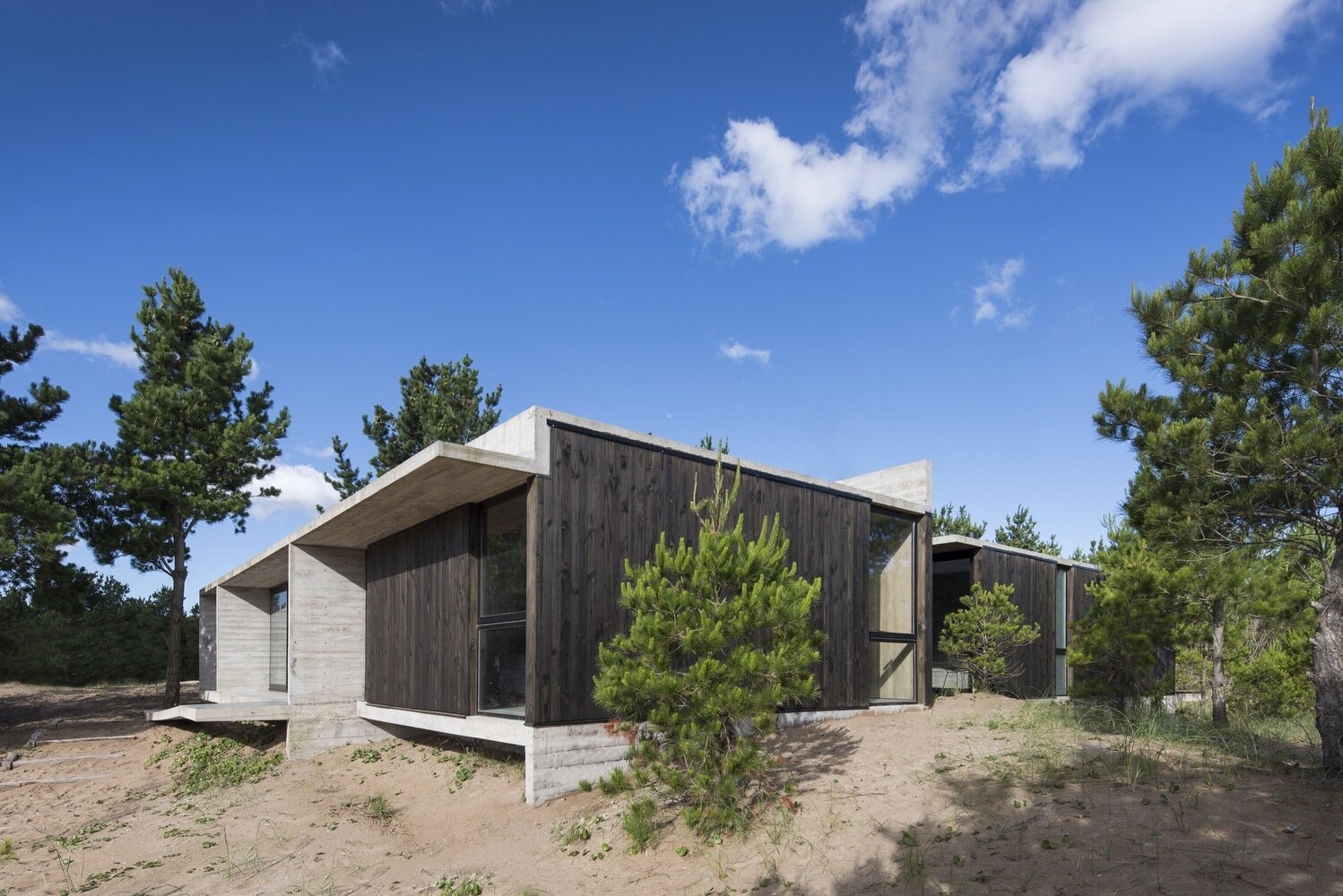 A modern concrete and wood home in Costa Esmeralda designed to sit gently on a forested site while keeping its natural terrain intact.