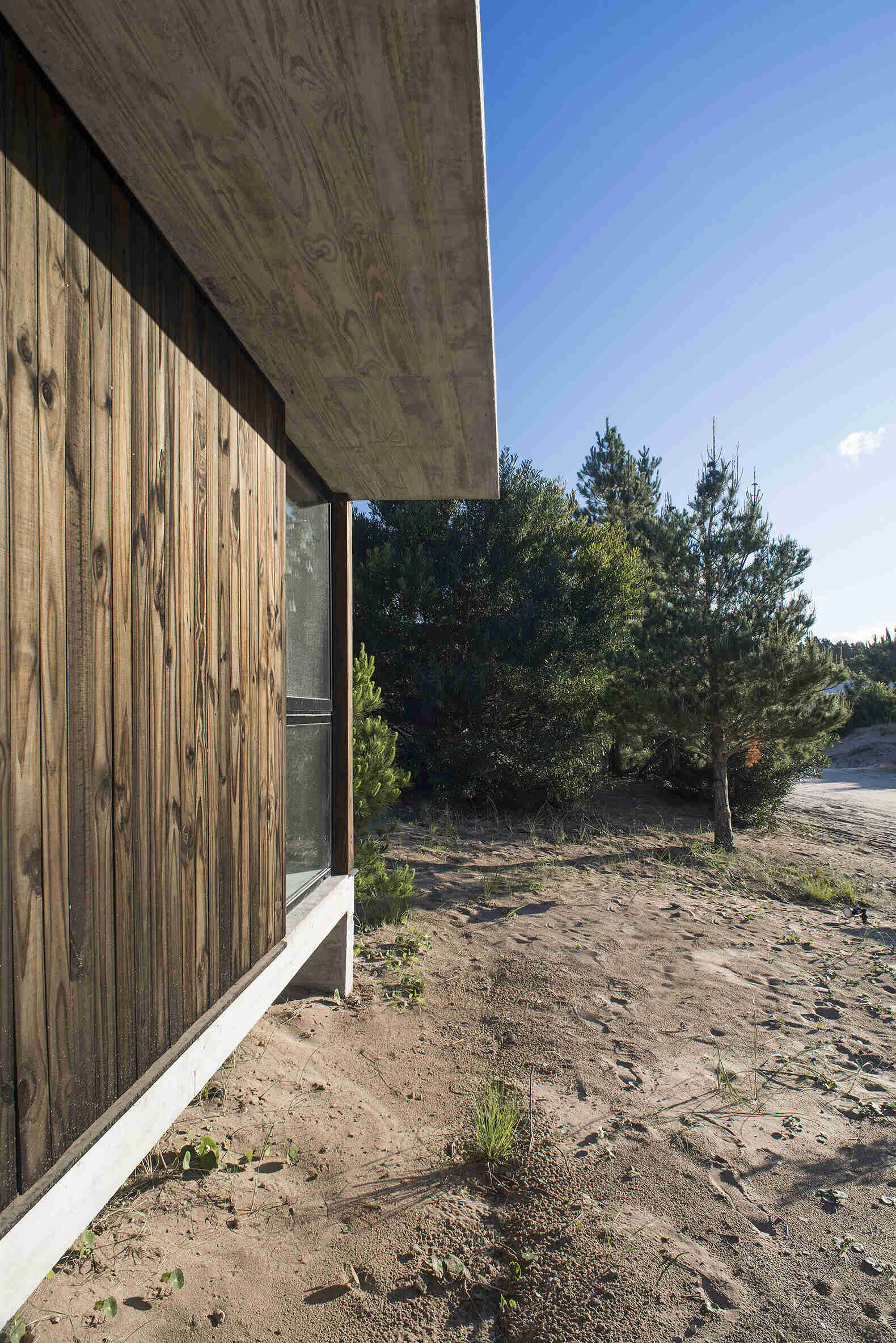 A modern concrete and wood home in Costa Esmeralda designed to sit gently on a forested site while keeping its natural terrain intact.