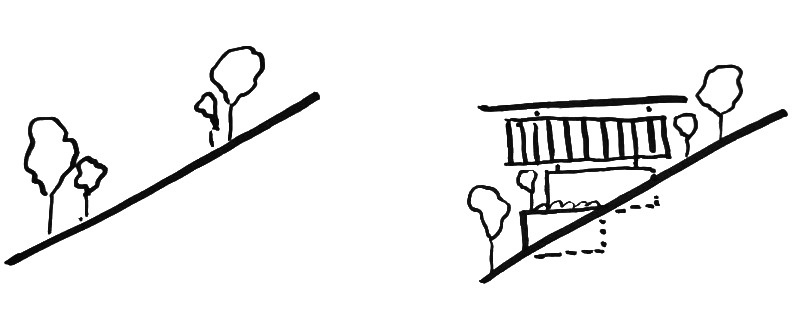 Architectural drawings reveal how the home rises gently with the terrain.