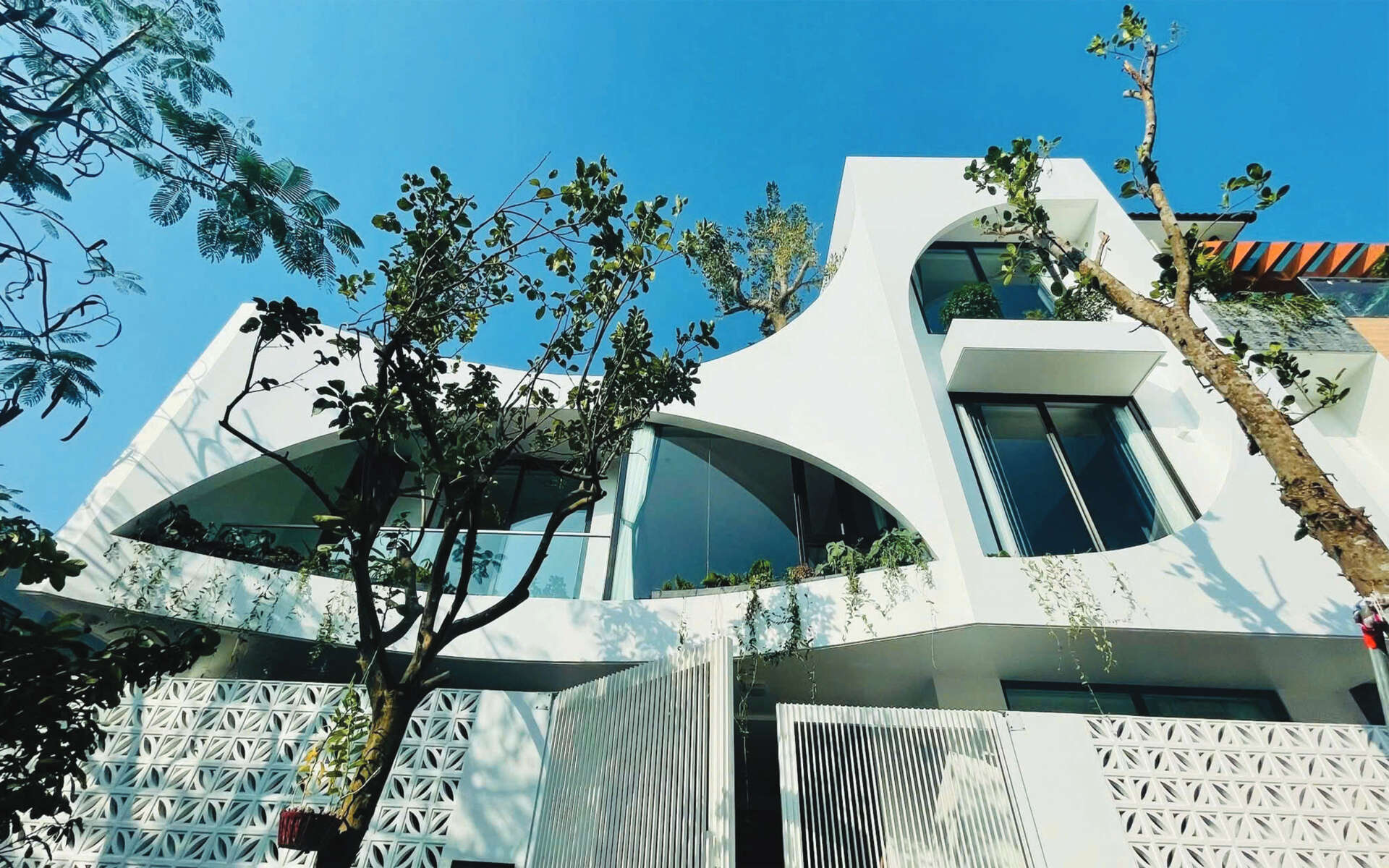 A modern home shaped with soft leaf inspired curves, creating a warm and emotional living space filled with natural light.