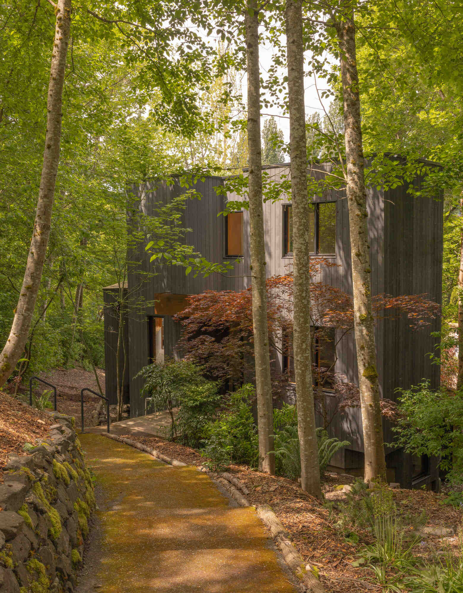 A calm modern update gives this Seattle home a stronger connection to its wooded surroundings with warm materials and Passive House thinking.