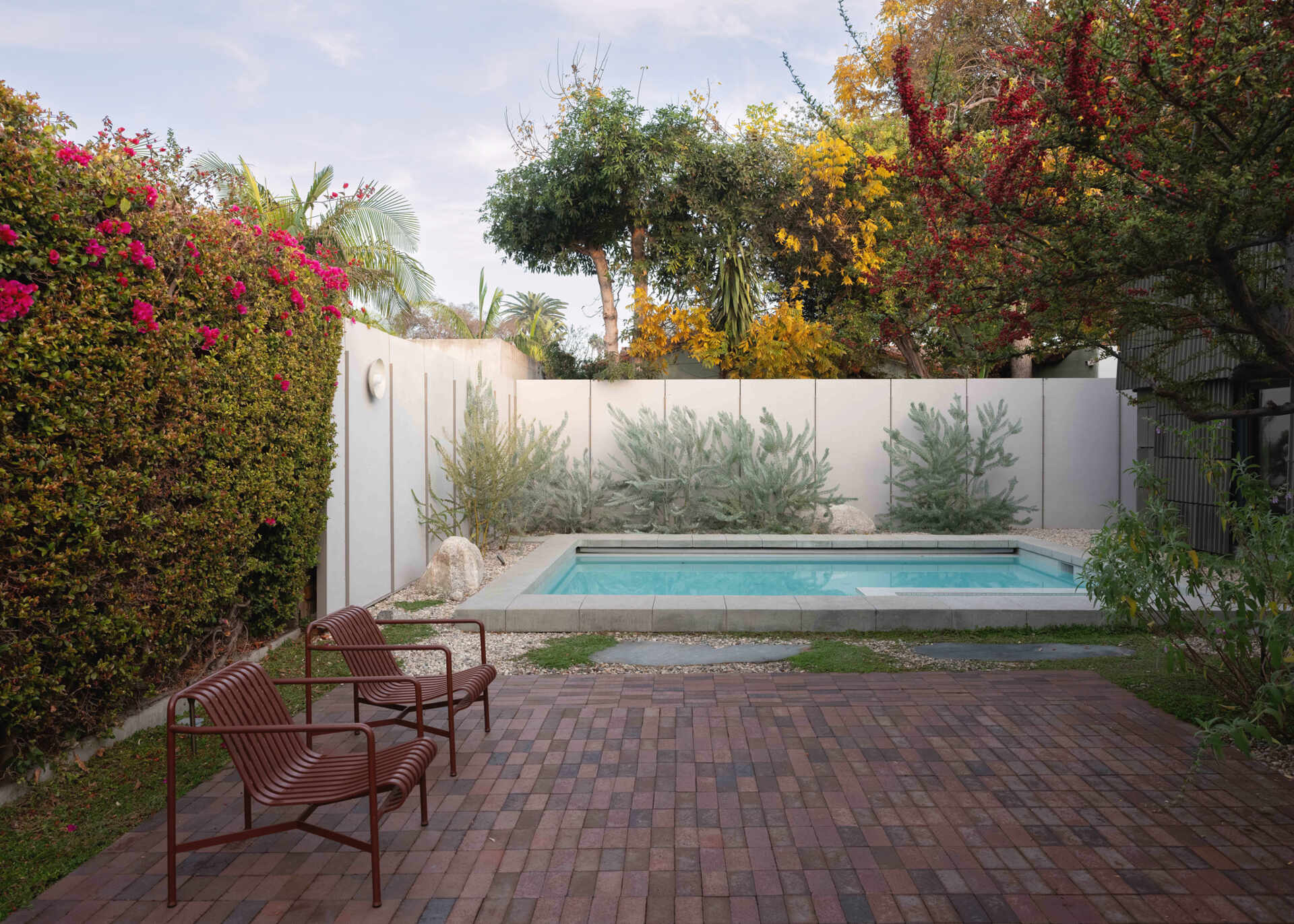 A California-native garden surrounds a minimalist pool framed by a brick patio, turning the backyard into a vibrant outdoor living space filled with color and scent.