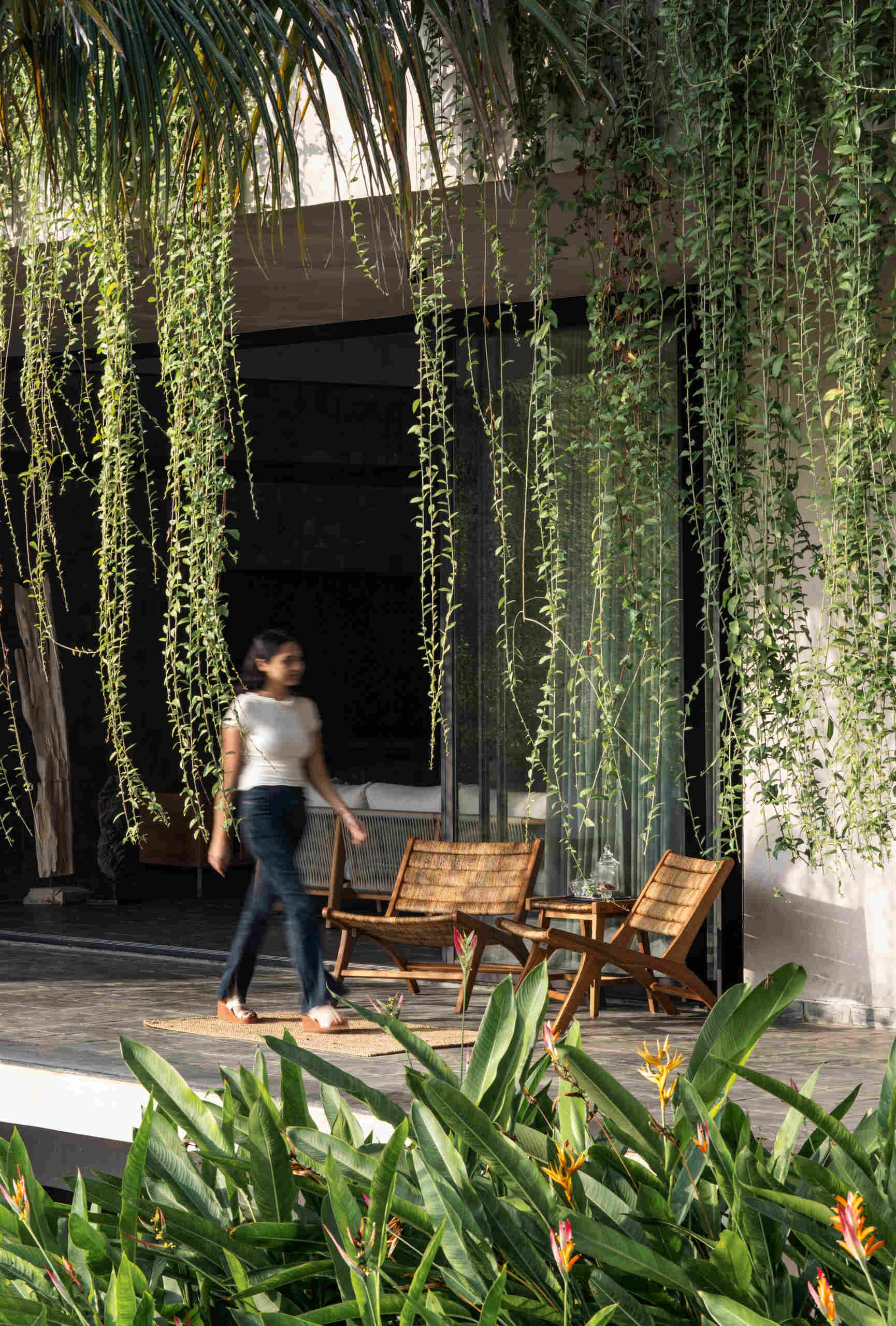 Floating walkways and hanging plants soften the architecture of this modern house and connect it to nature.