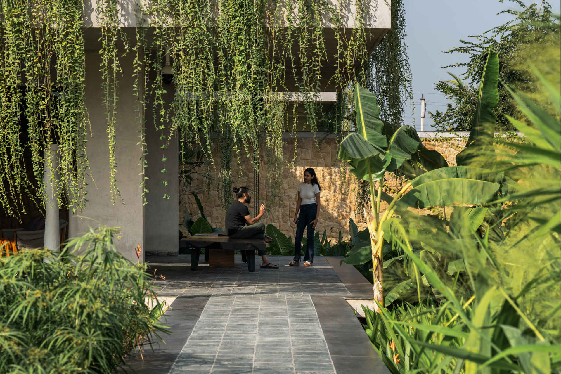 Floating walkways and hanging plants soften the architecture of this modern house and connect it to nature.