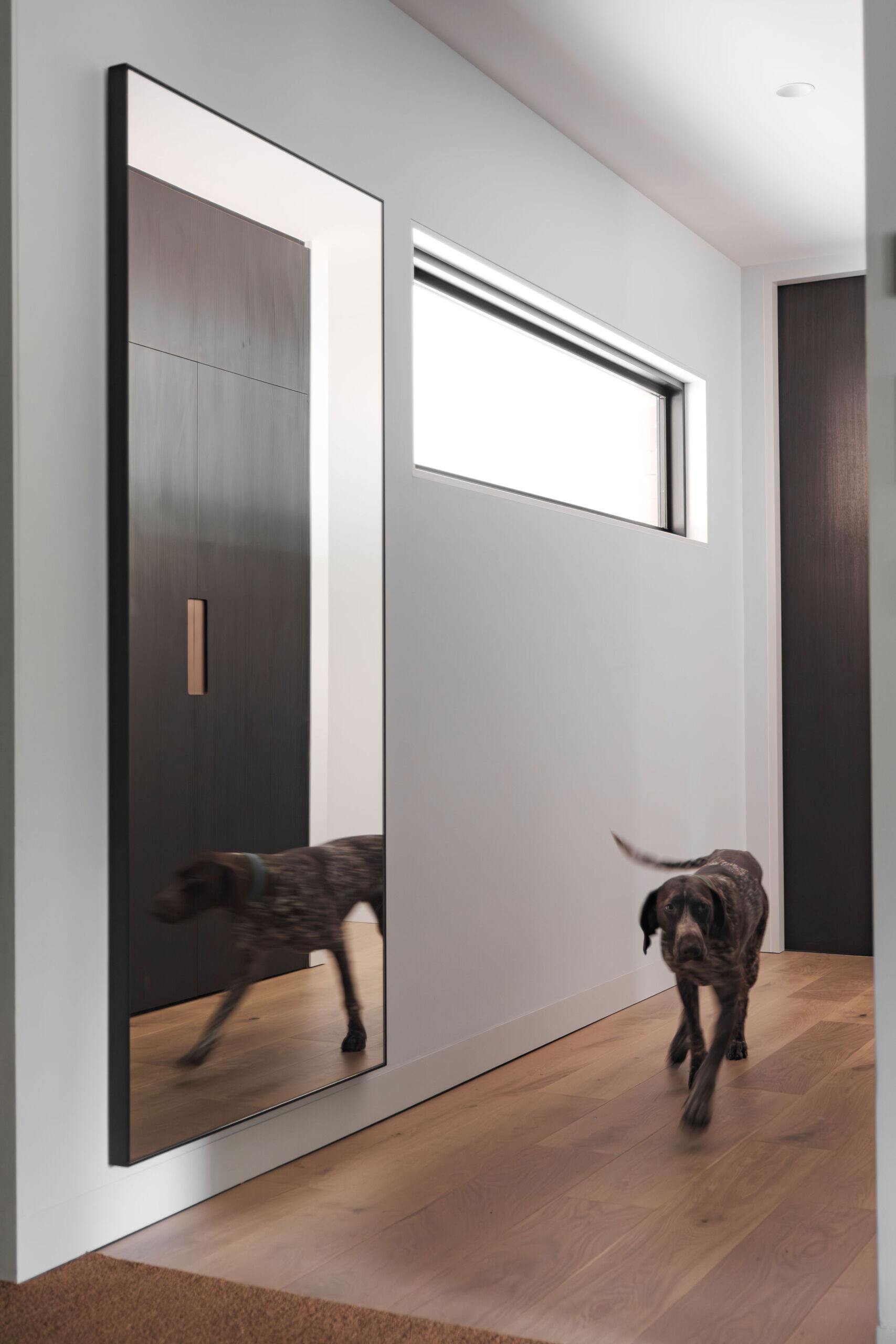 A streamlined hallway with hidden laundry and storage that keeps the home feeling neat, quiet and organised.