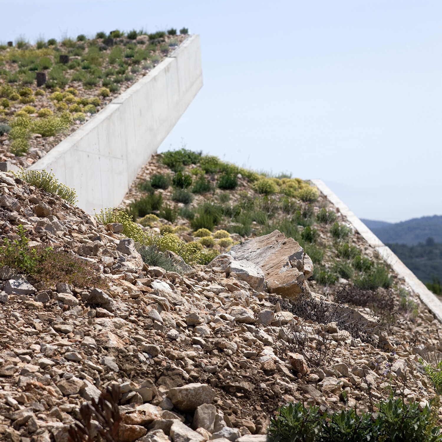 Un techo verde con plantas y rocas nativas permite que la ladera fluya sin problemas sobre la casa.