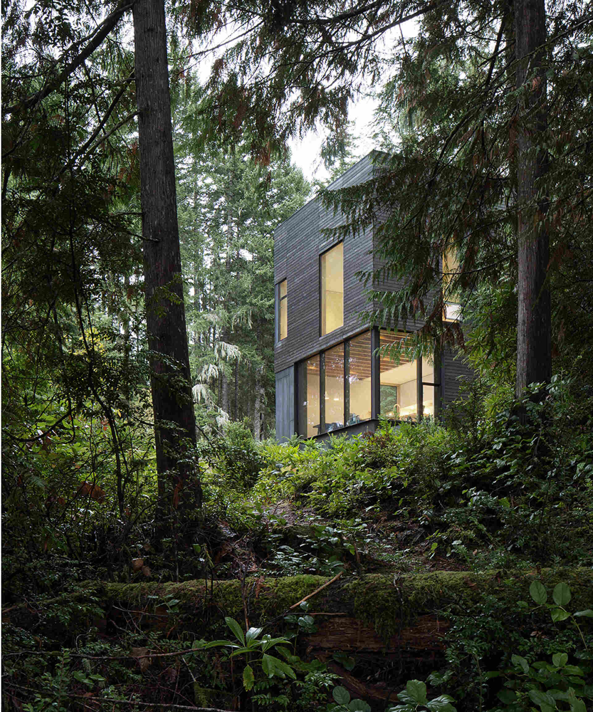 A compact forest cabin showcasing dark timber cladding and modern design that blends into the trees.