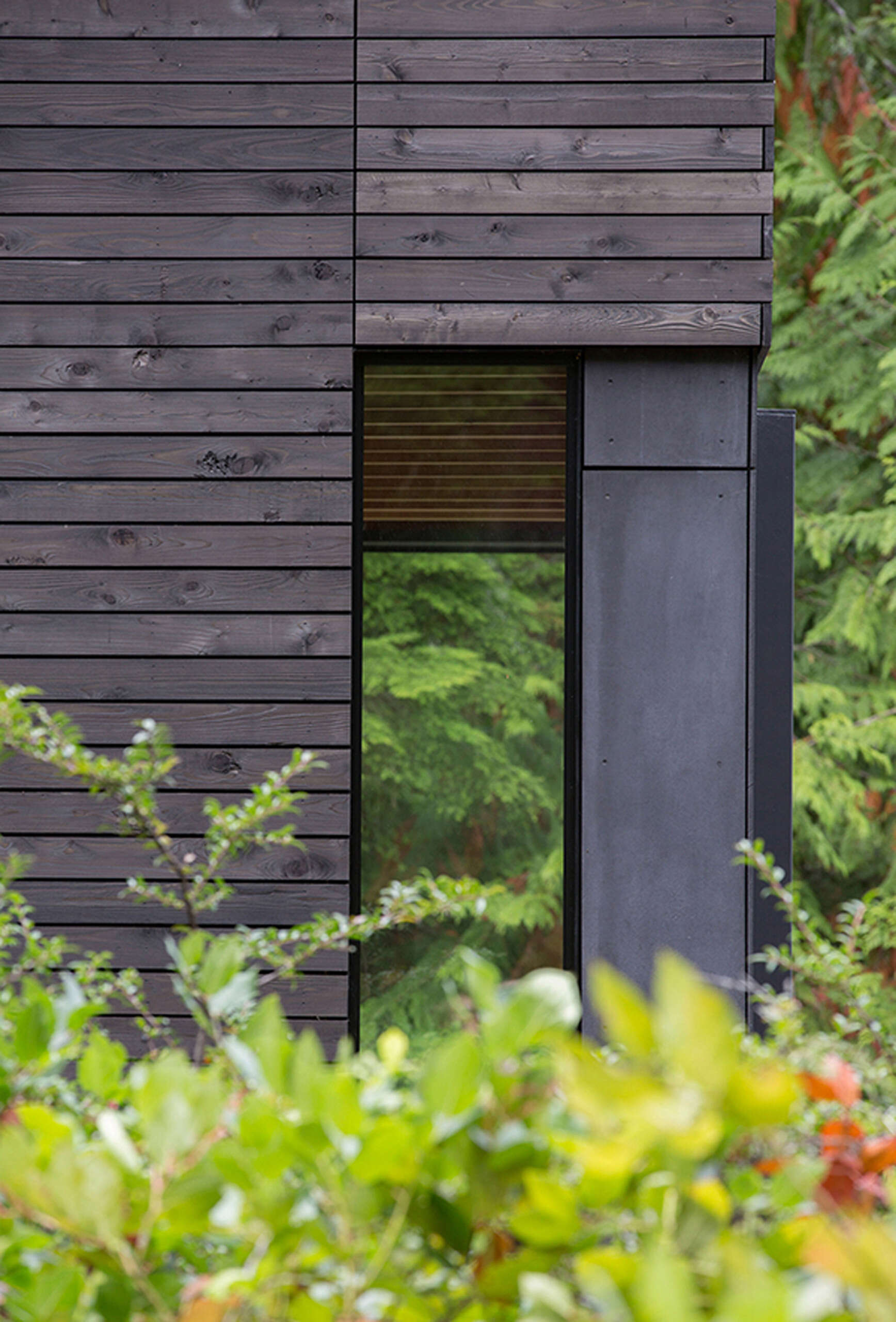 A compact forest cabin showcasing dark timber cladding and modern design that blends into the trees.