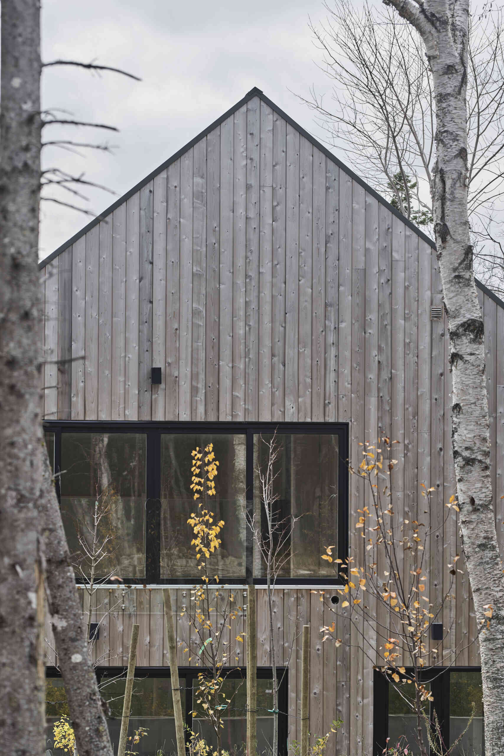 Una colección de cinco cabañas prefabricadas de madera en la costa, diseñadas para la vida al aire libre y la hospitalidad.