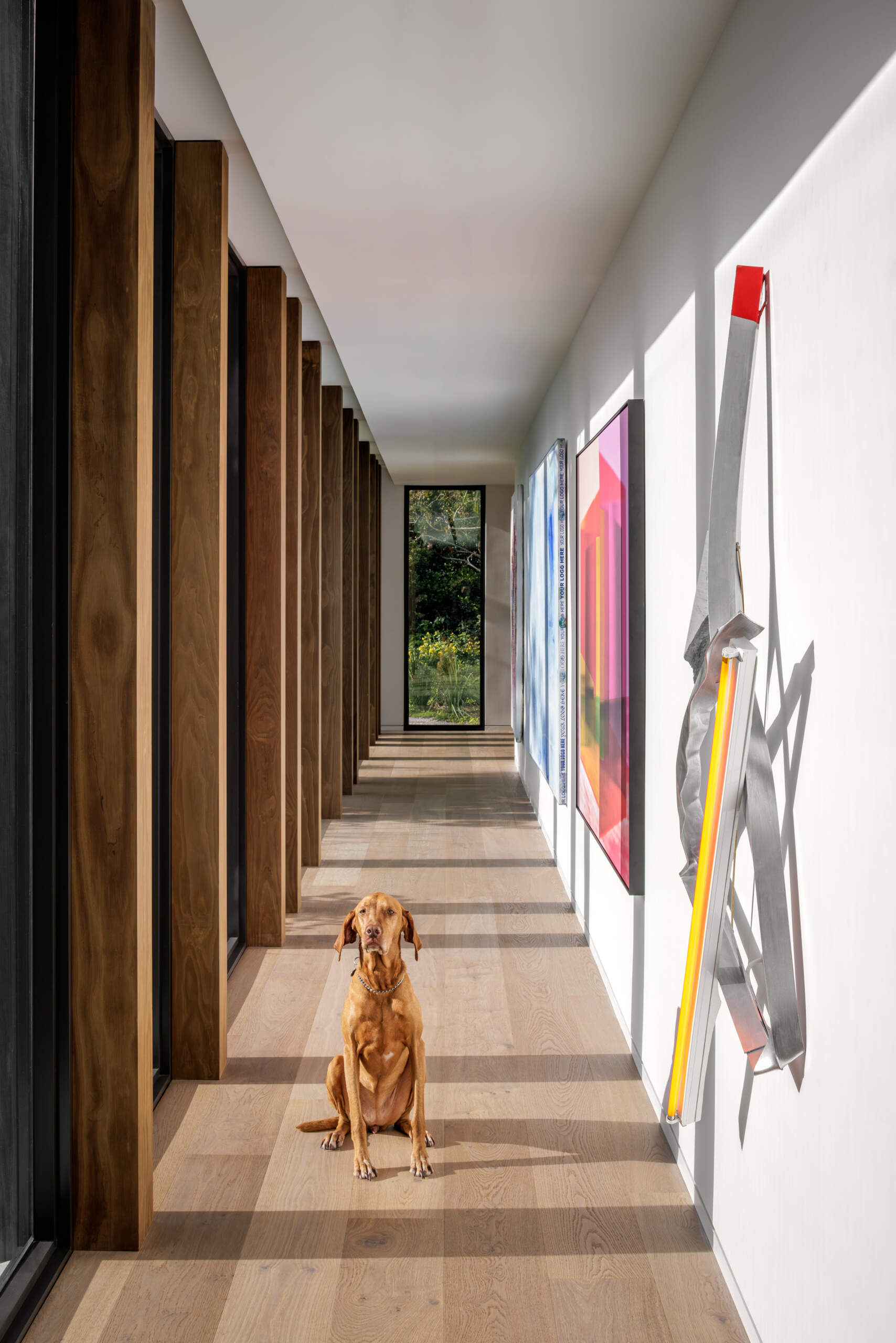 This hallway feels like a bright, modern art walk, with clean white walls that let the colorful pieces stand out. Warm wood columns and big windows line one side, bringing in dappled daylight and glimpses of the garden as you move through the space.