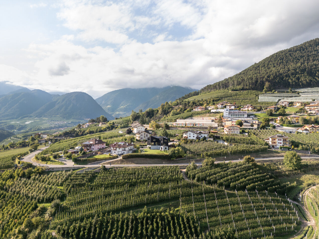 Black larch wood cladding gives this Italian hillside home a striking presence among apple orchards while staying rooted in local tradition.