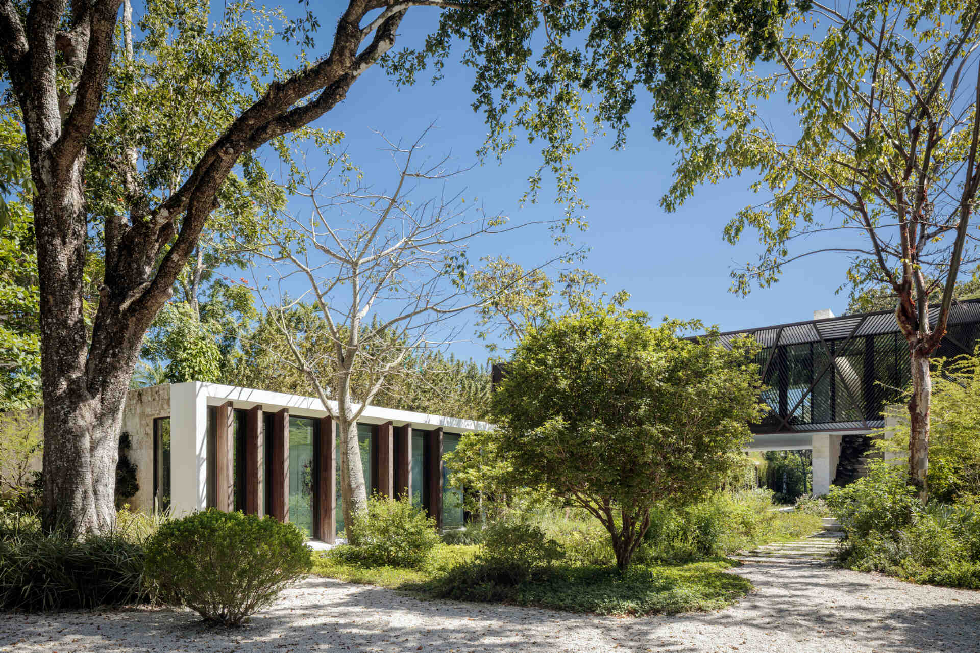 Two interlocking volumes define this Coconut Grove home, with wood panels, overhanging plants, and louvers creating warmth, shade, and a subtle connection to the surrounding greenery.