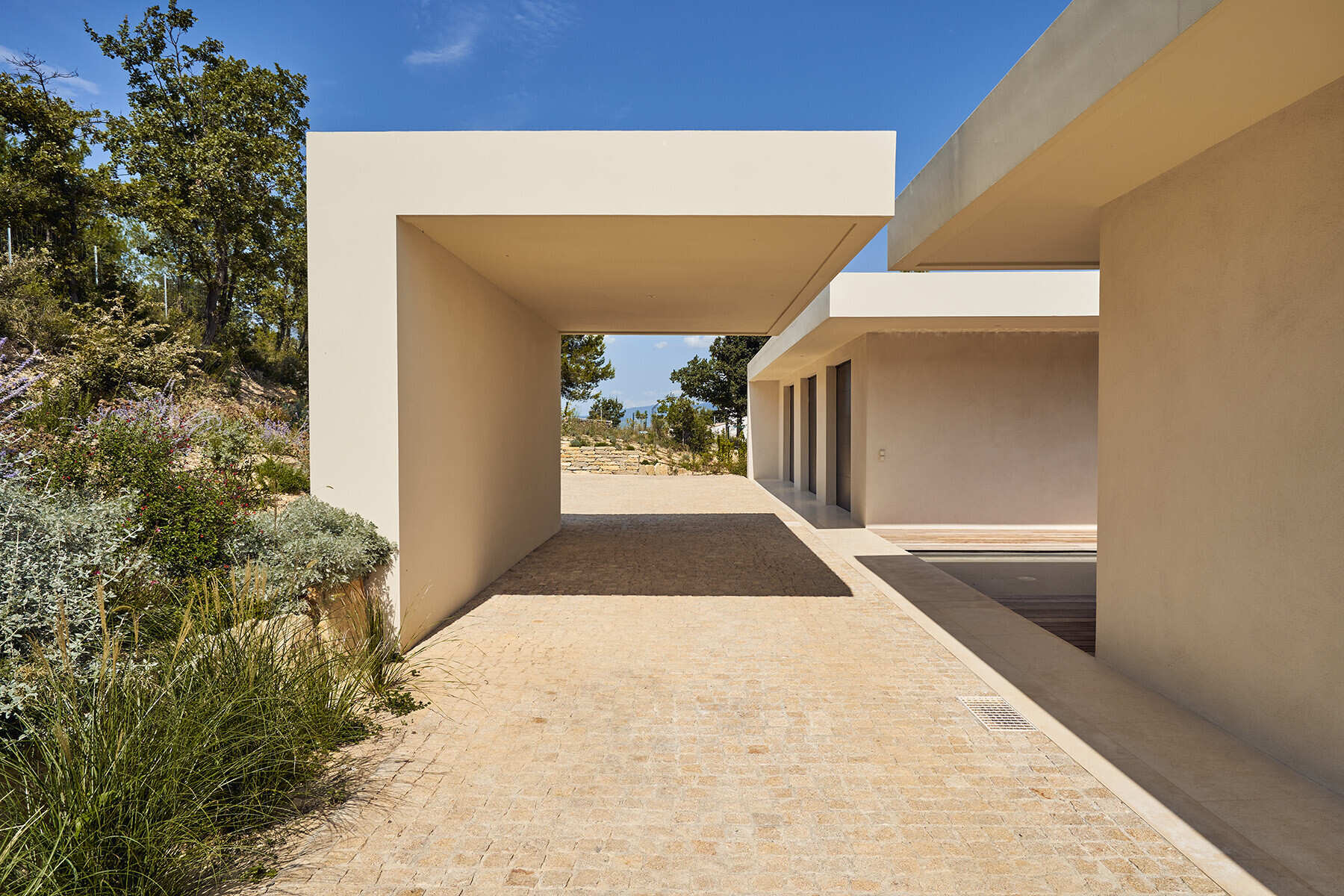 The garage becomes part of the architectural story, visible from a sculptural carport that frames the driveway.