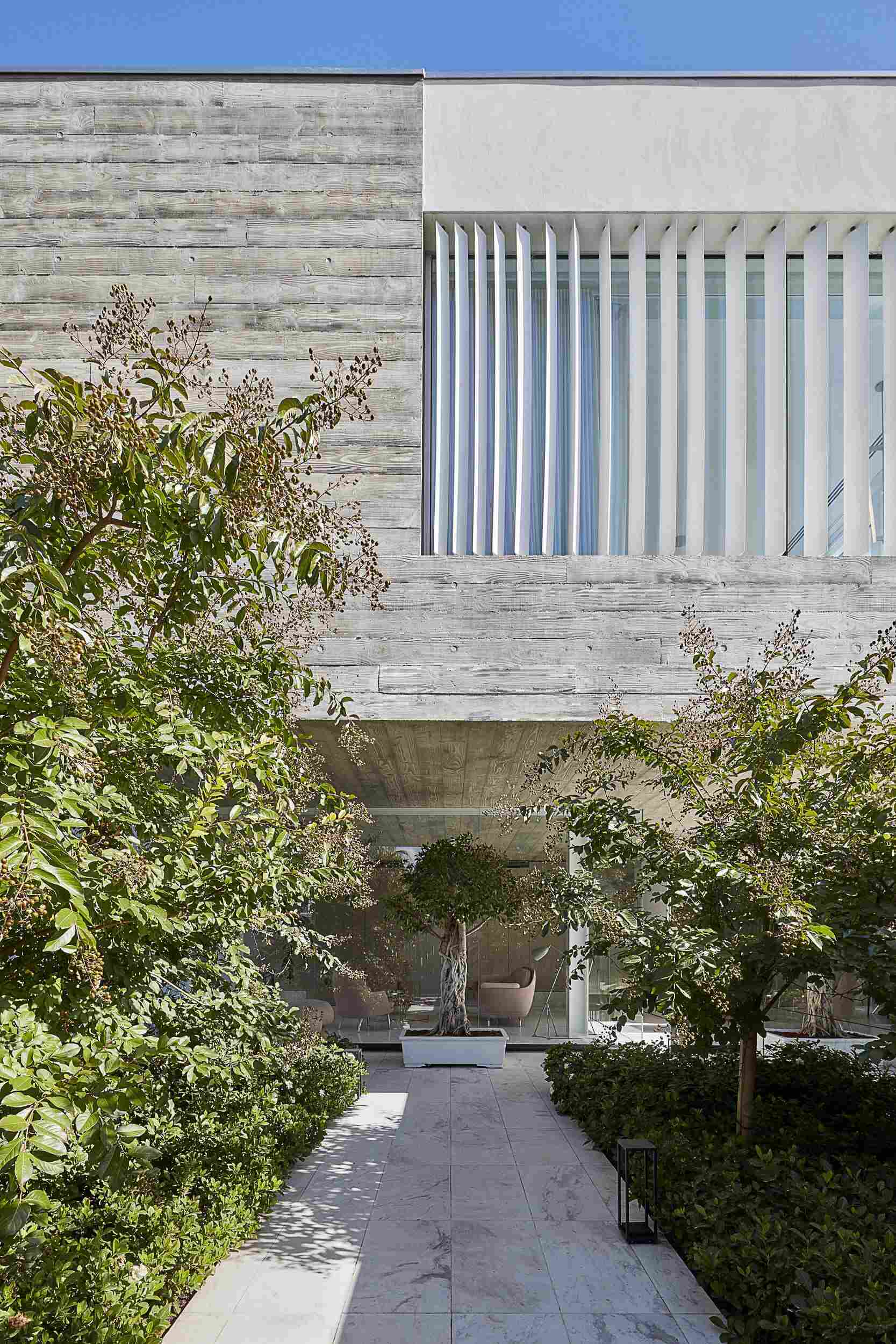 A landscaped entry path wrapped in greenery introduces this contemporary Toorak home with a calm and welcoming feel.