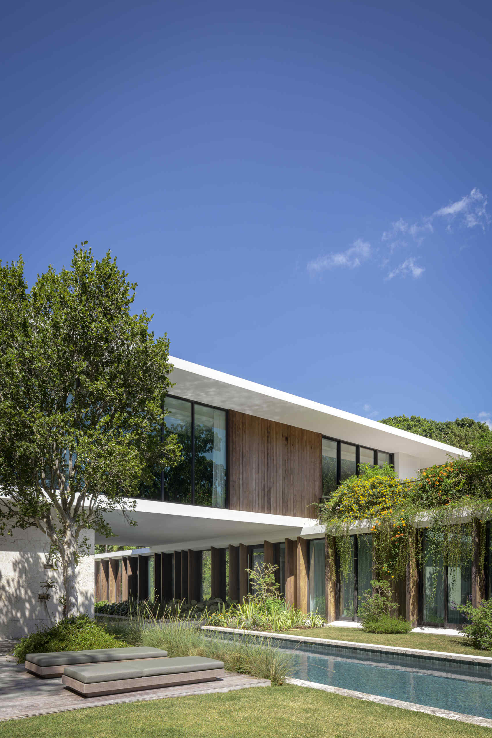 A long pool is positioned beneath the upper volume and runs parallel to the private areas of the home, while overhanging plants soften the architecture.
