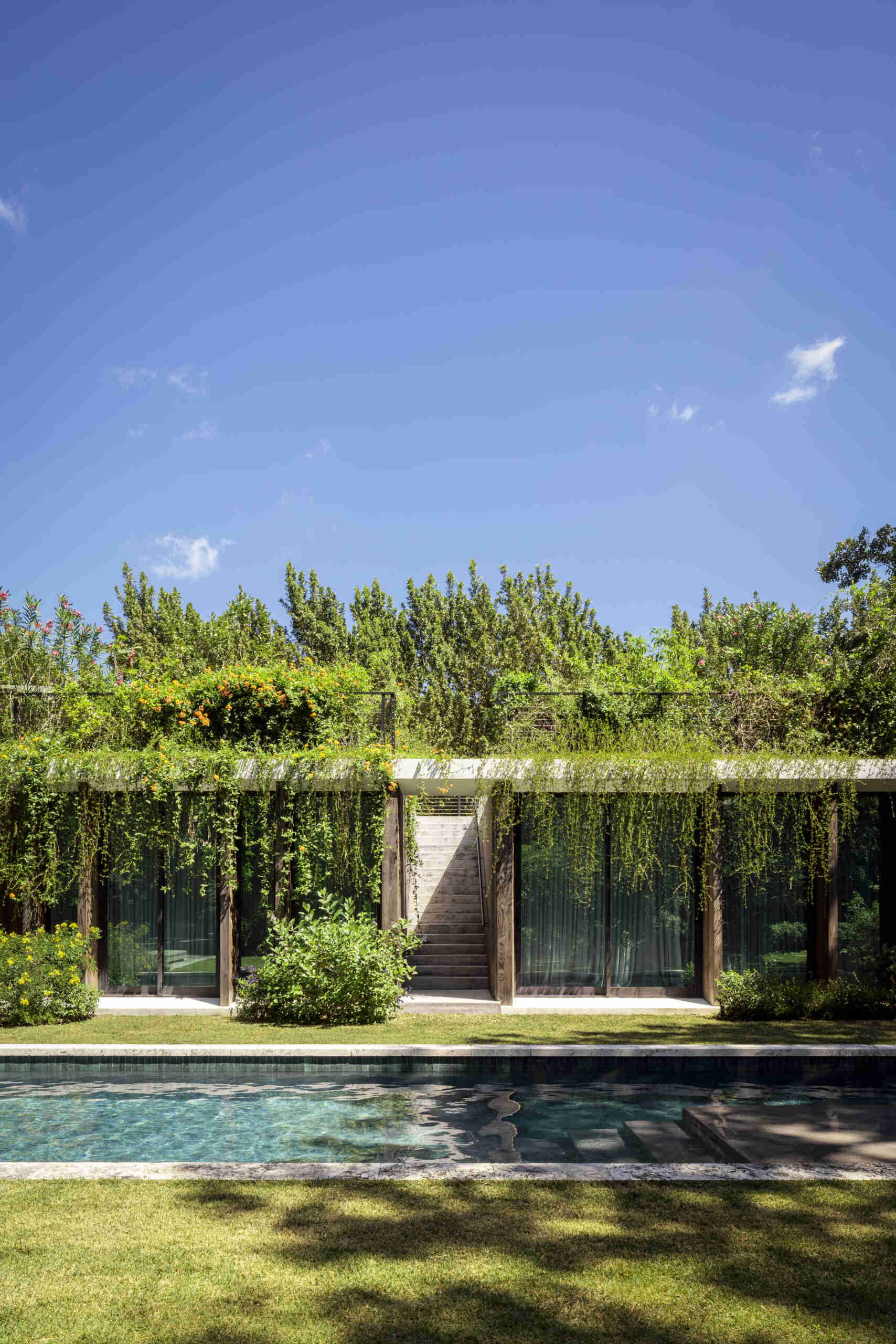 A long pool is positioned beneath the upper volume and runs parallel to the private areas of the home, while overhanging plants soften the architecture.