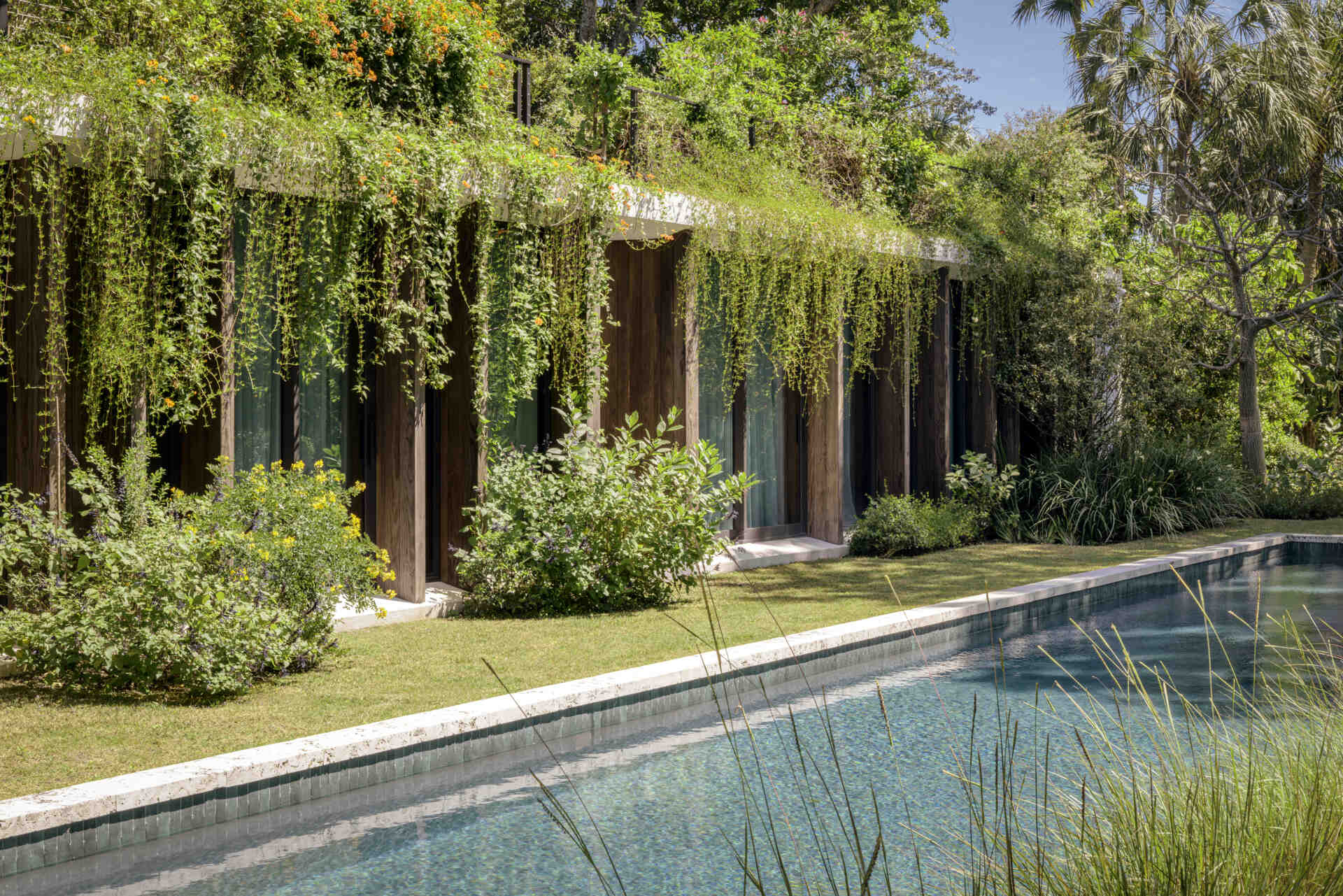 A long pool is positioned beneath the upper volume and runs parallel to the private areas of the home, while overhanging plants soften the architecture.
