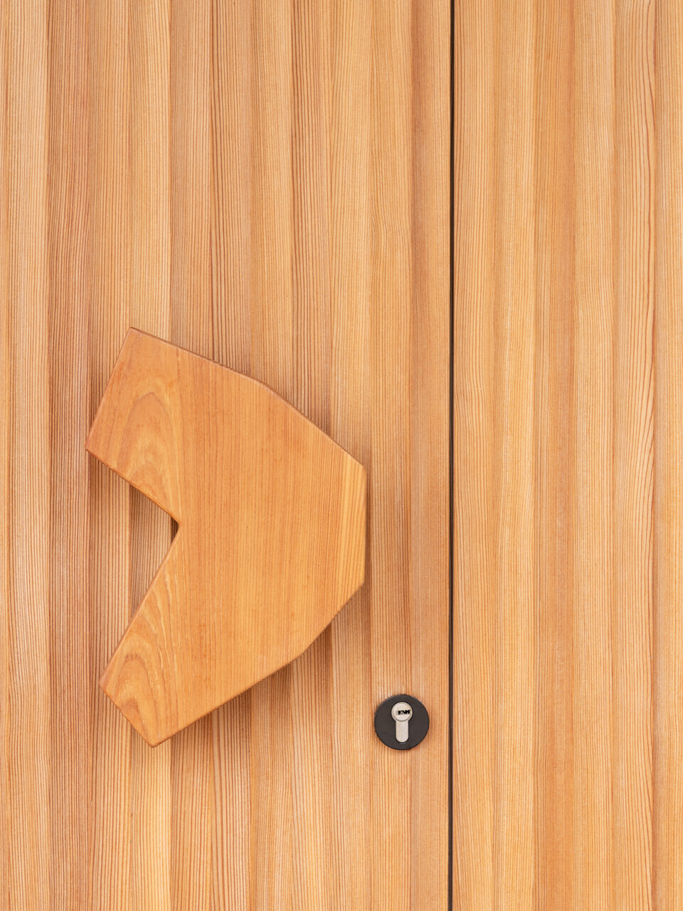 Porphyry stone paving and a custom larch door detail mark the transition from orchard landscape to contemporary interior.