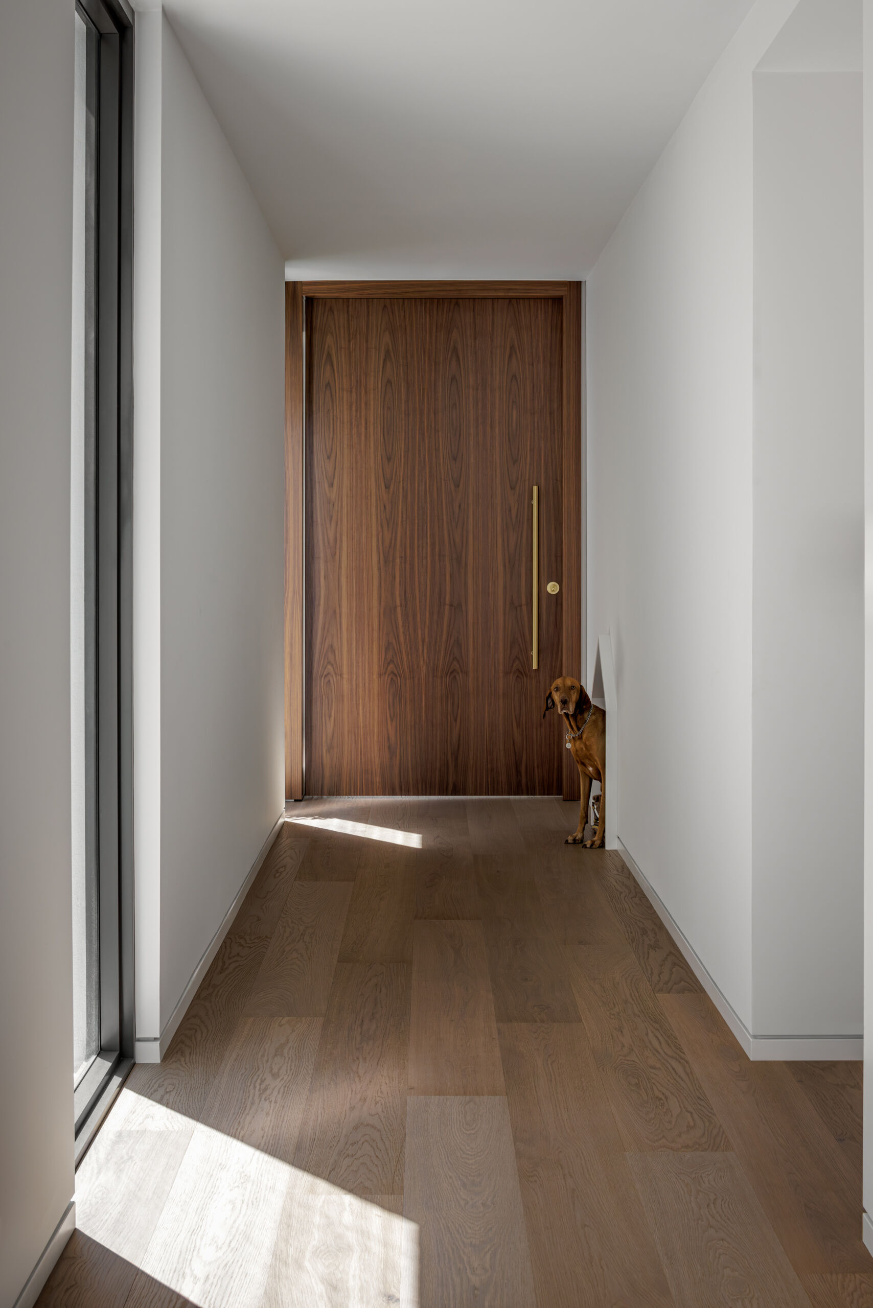 A tall wood door creates a minimal, welcoming approach.