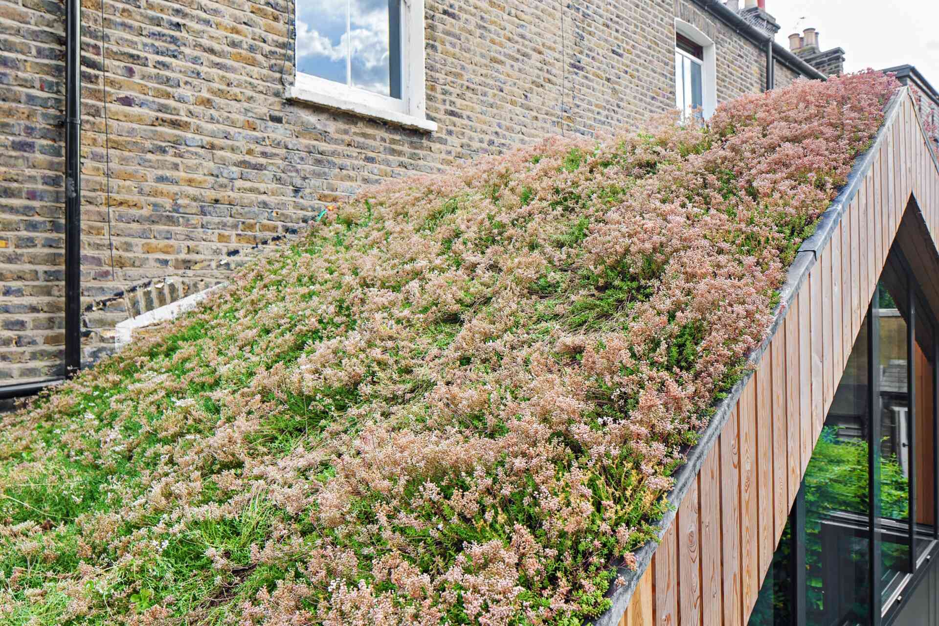 A timber clad extension with a green roof replaces a failing conservatory with a warm and light filled space that connects beautifully to the garden.