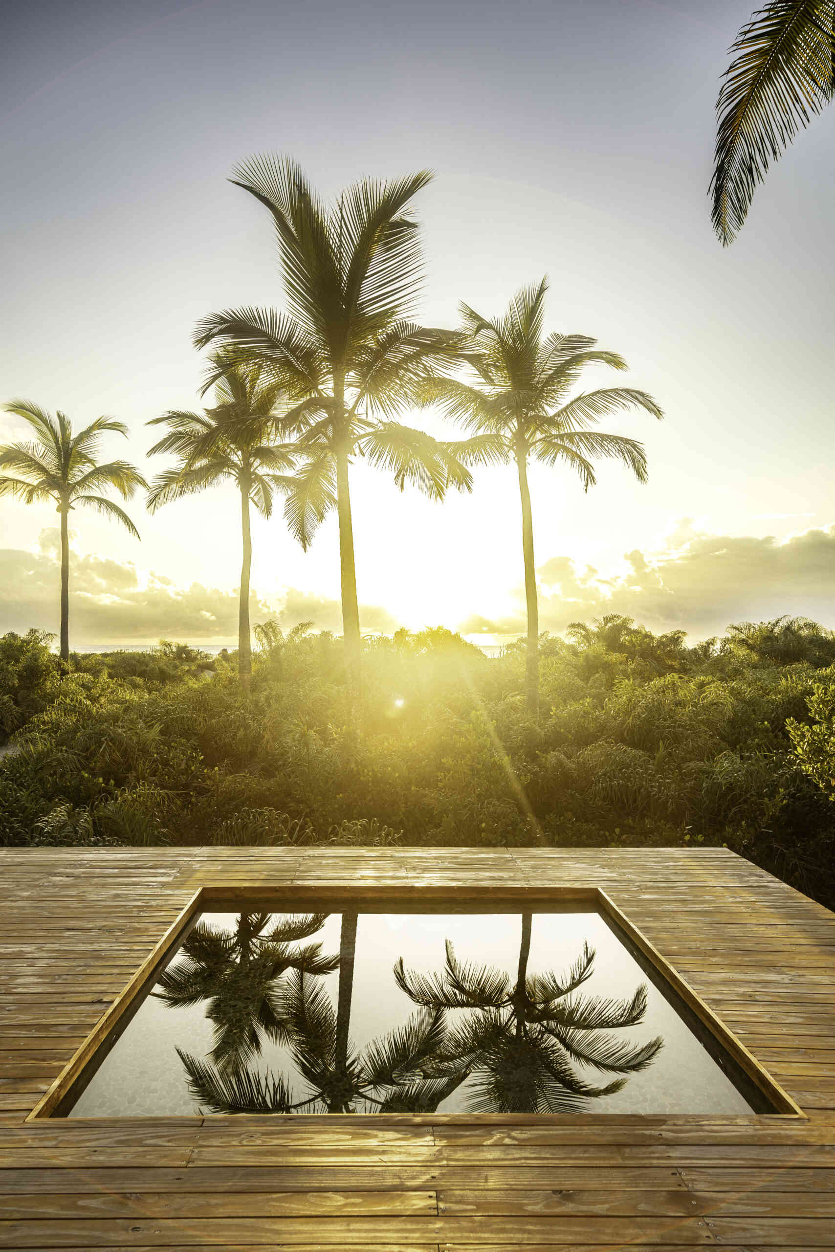 A modular home set between the river and the sea, designed for calm tropical living. Warm wood interiors, large glass openings, and open patios create a seamless flow between forest, coast, and indoor comfort.