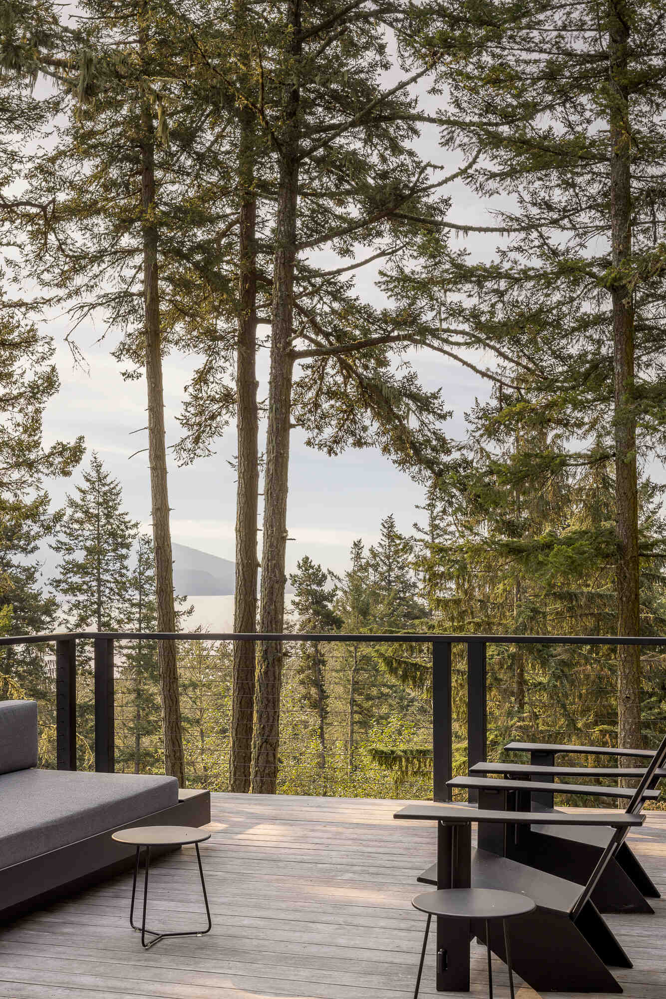 A cantilevered deck extends into the old growth canopy, creating a seamless connection between interior living and nature.
