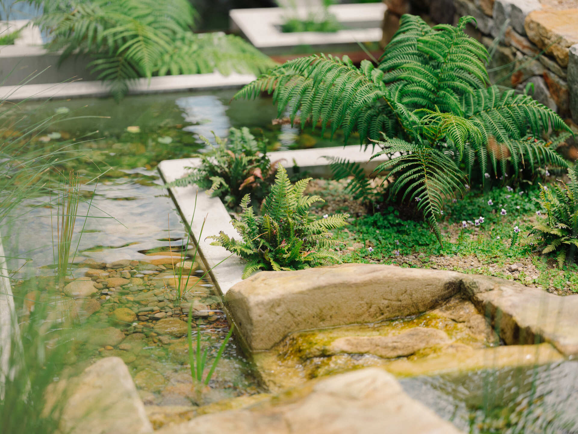 Cross a pond, step on stones, and ascend alongside a cascading waterfall to enter the living spaces.