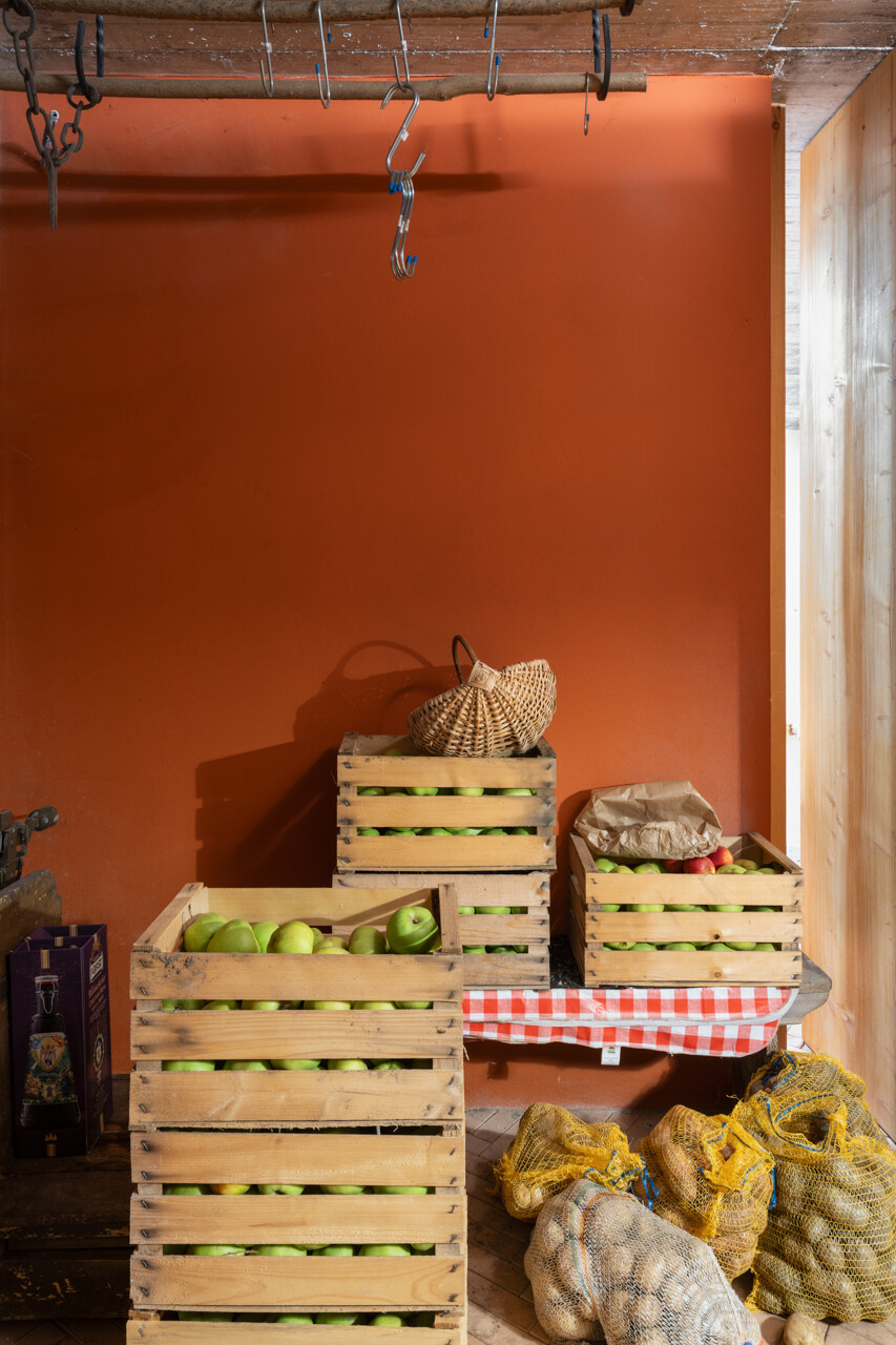 An underground wine cellar with curved concrete walls and brick floors anchors the home to land and memory.
