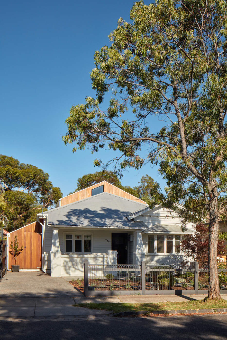 Una extensión de la casa trasera diseñada por Ben Callery Architects conecta la vida familiar con el parque a través de un diseño biofílico, madera y luz natural.