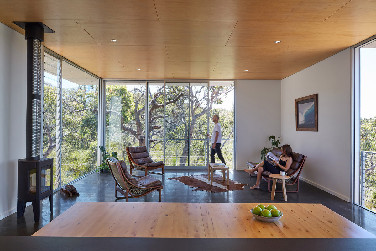 Pine plywood ceilings and sliding glass walls create a treetop platform experience for this elevated home.