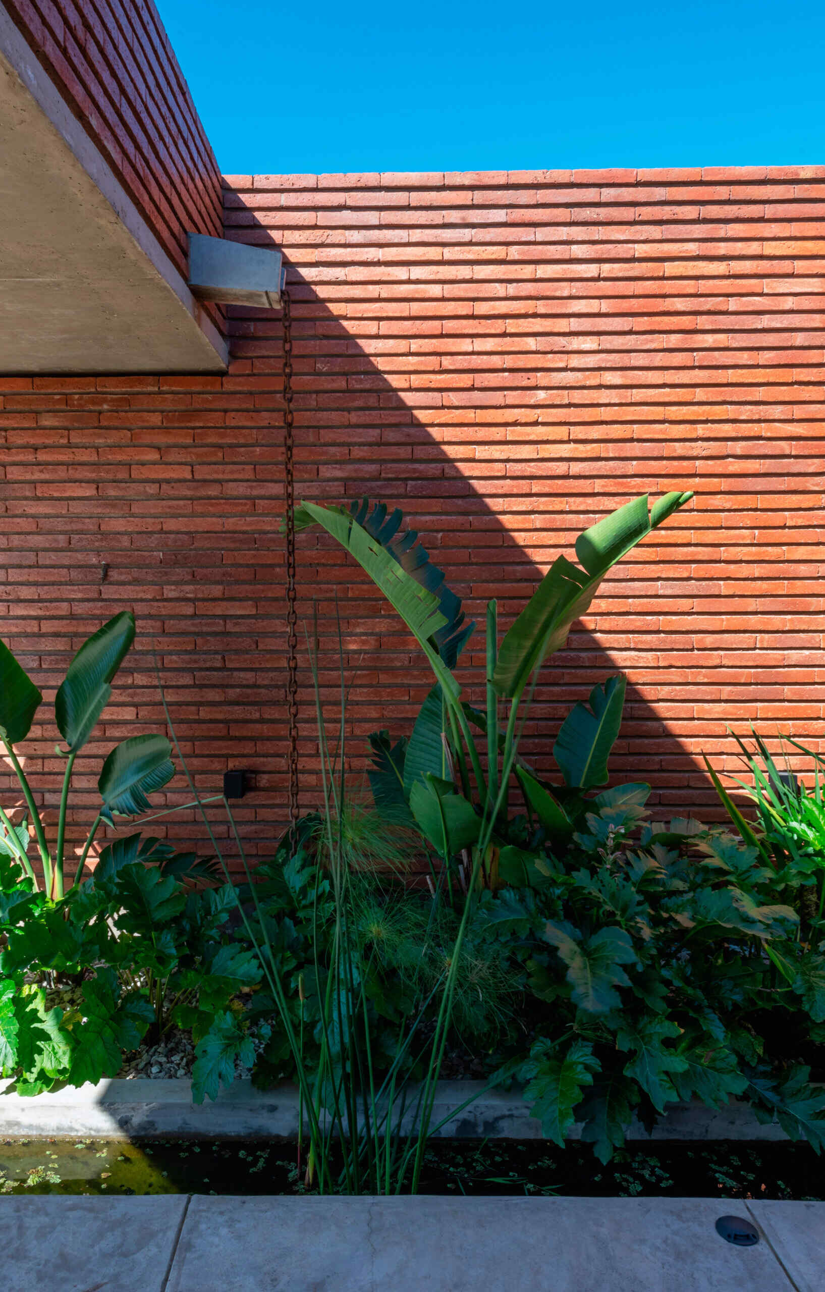 A considered entry sequence where water and garden elements guide movement, turning arrival into a calm, intentional experience within this brick family house in Córdoba.