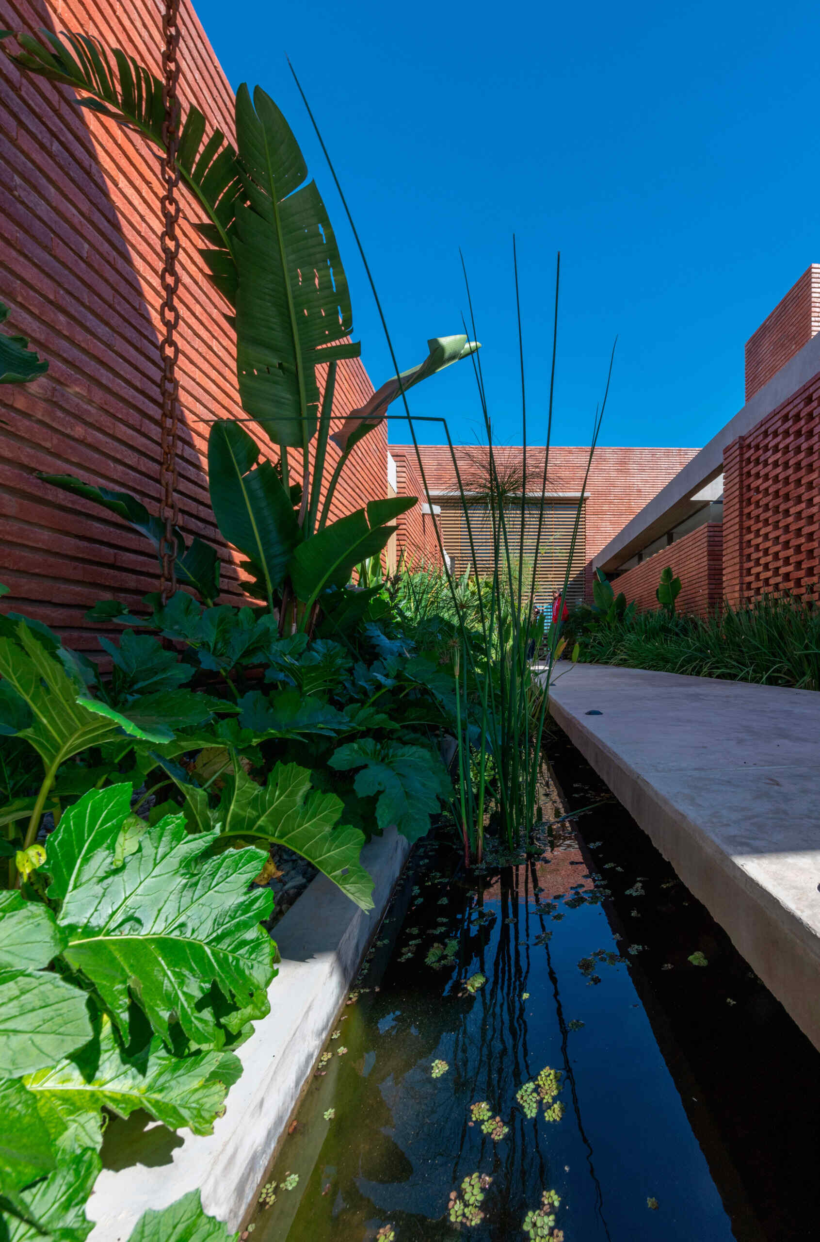 A considered entry sequence where water and garden elements guide movement, turning arrival into a calm, intentional experience within this brick family house in Córdoba.