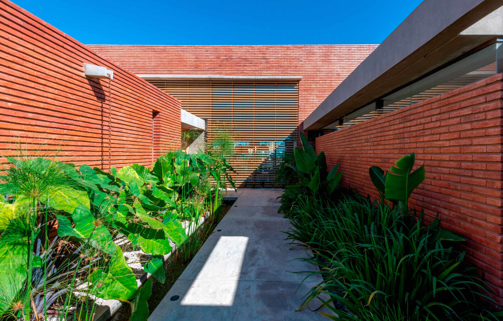 A considered entry sequence where water and garden elements guide movement, turning arrival into a calm, intentional experience within this brick family house in Córdoba.