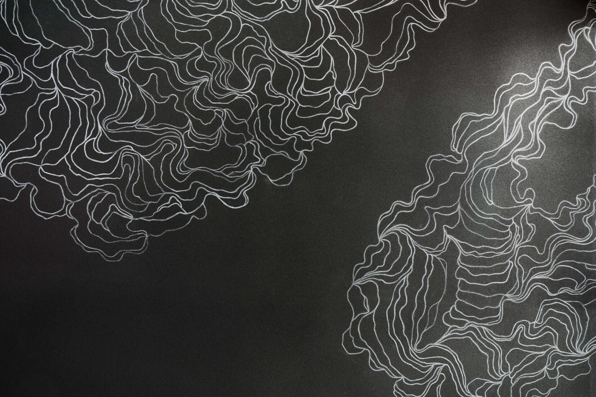 Graphic linework runs from the lounge through to the covered pool area and continues toward the outdoor fire pit, positioned slightly apart from the main volume. The animated lines act as a deliberate counterpoint to the strict geometry of the glass facades and the clear structure of the lap pool.