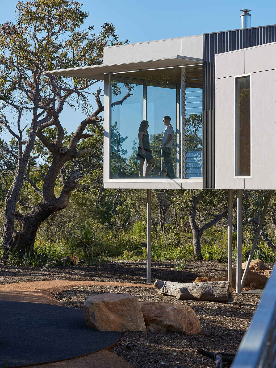 Pine plywood ceilings and sliding glass walls create a treetop platform experience for this elevated home.