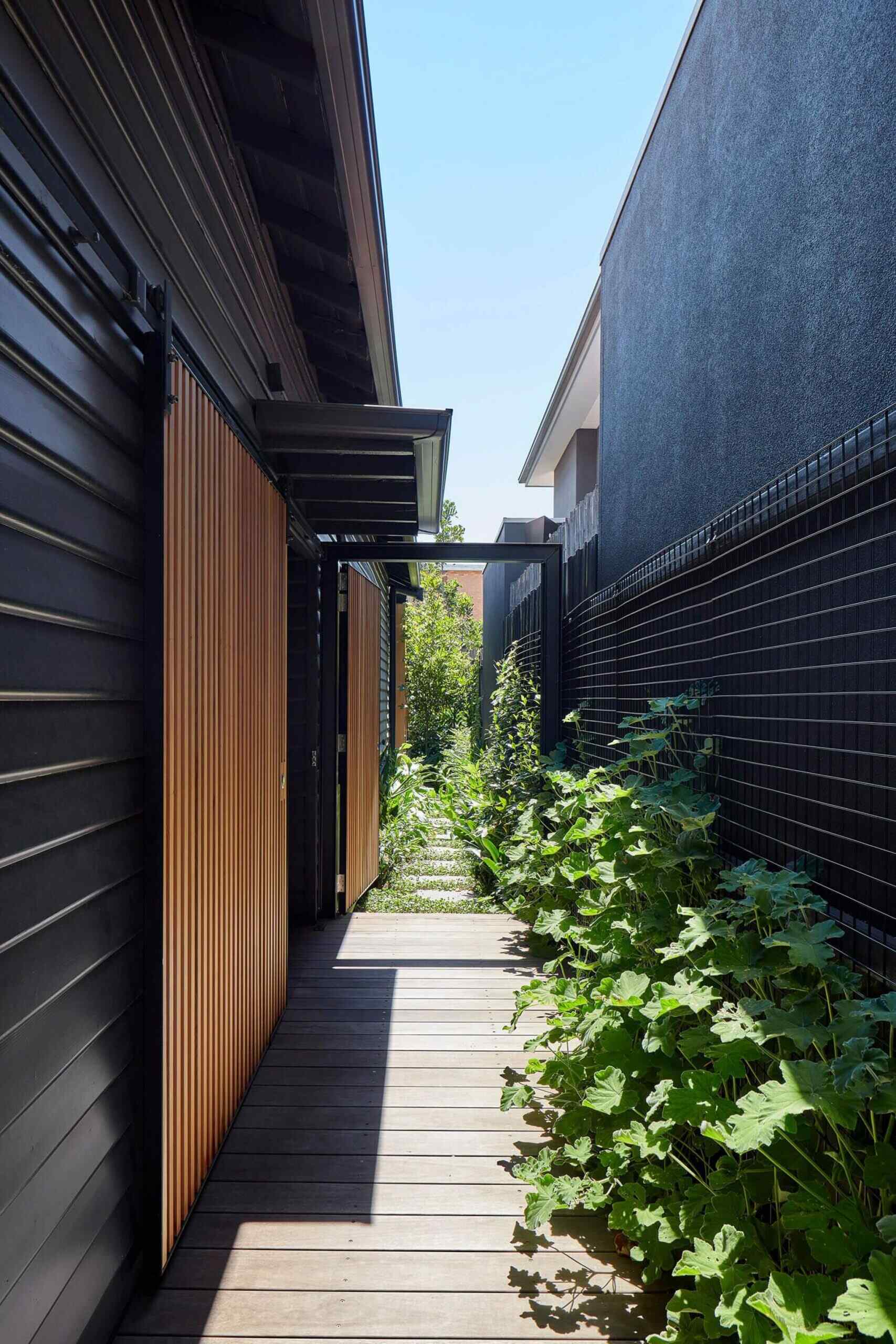 A ramp runs along the side of the building, leading to the front door, while a stepping stone path continues through the site toward the backyard. From the outset, the garden plays a key role, offering privacy and softening the architecture.