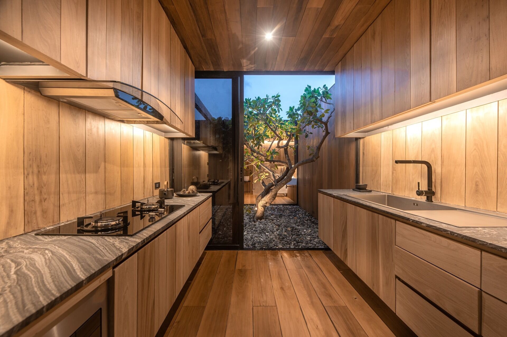 Floating wood cabinets define the kitchen, which opens directly onto a small courtyard with a tree at its centre.