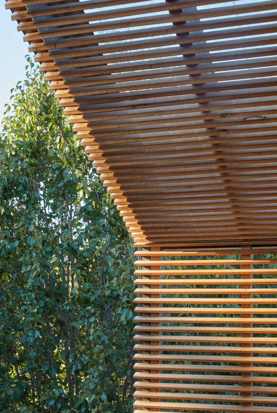 La extensión abre la casa al patio trasero y al parque más allá, creando claras conexiones visuales y espaciales con el paisaje. Las grandes aberturas, las pantallas envolventes de madera y las rejillas permiten que el aire y la luz fluyan libremente, creando una sensación de confort natural durante todo el día.