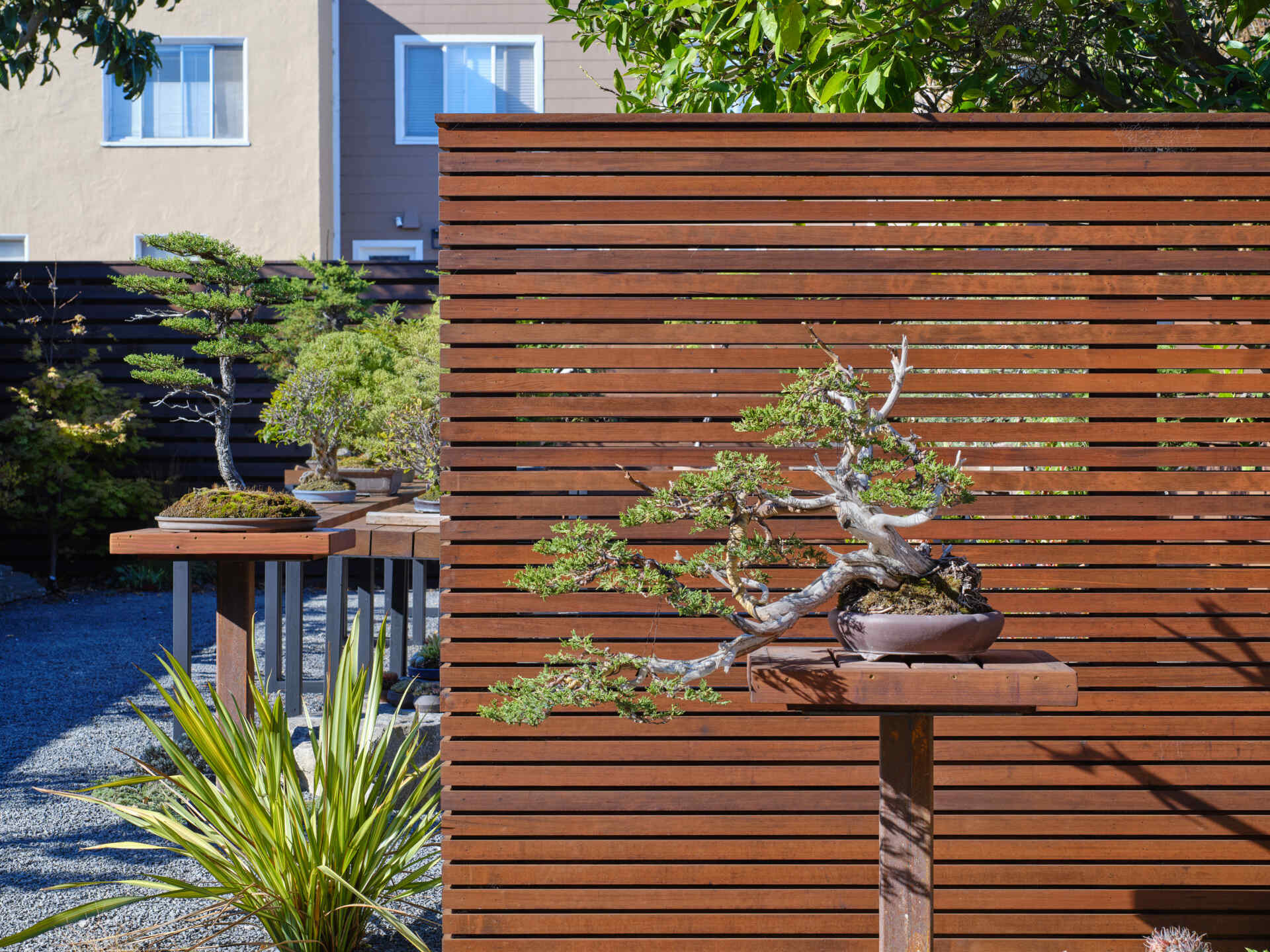 A renovated home with a bonsai workshop and garden.