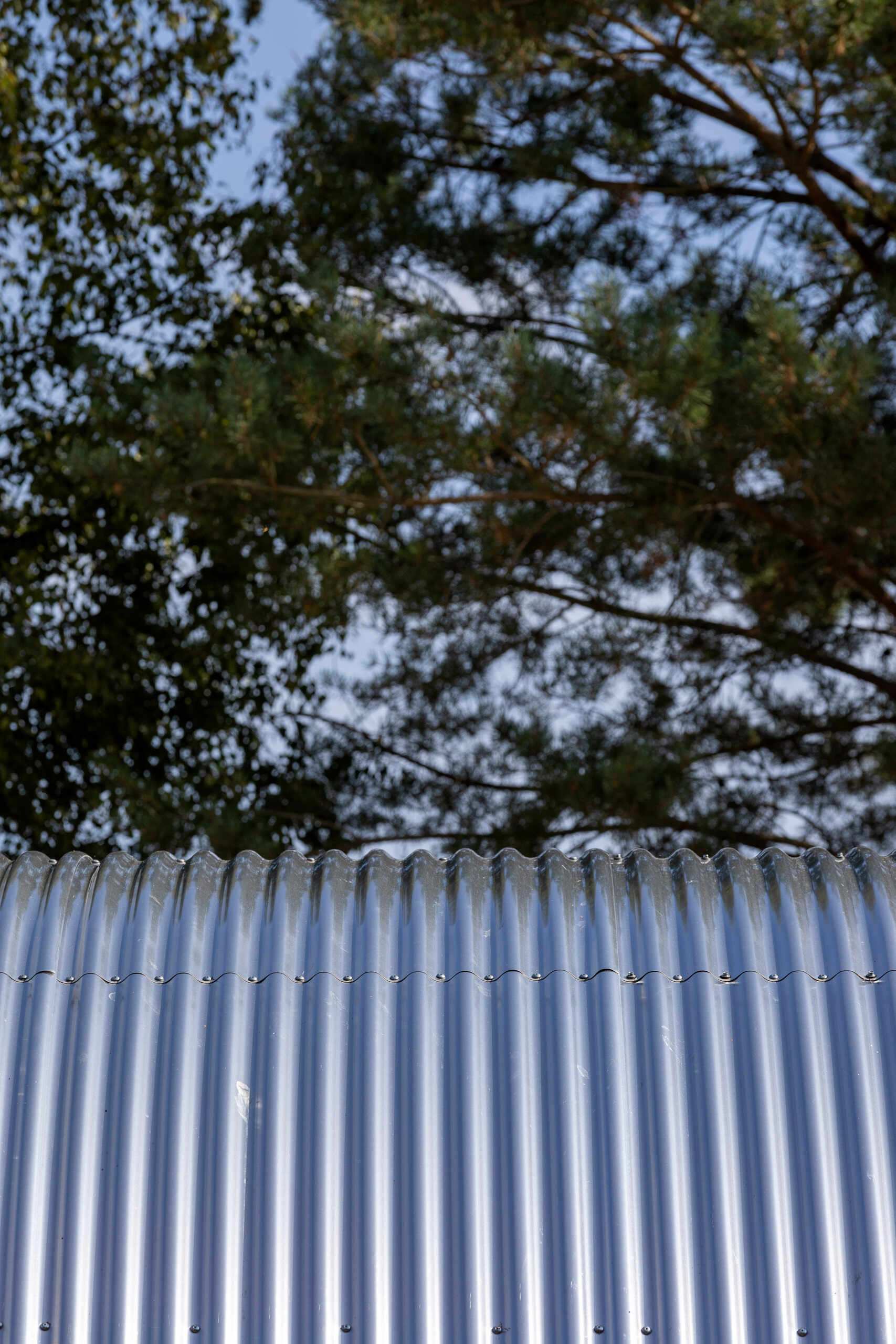 A tube-shaped Danish summer home set in the forest just 200 metres from the sea, featuring a curved corrugated steel roof and a bold minimalist form.