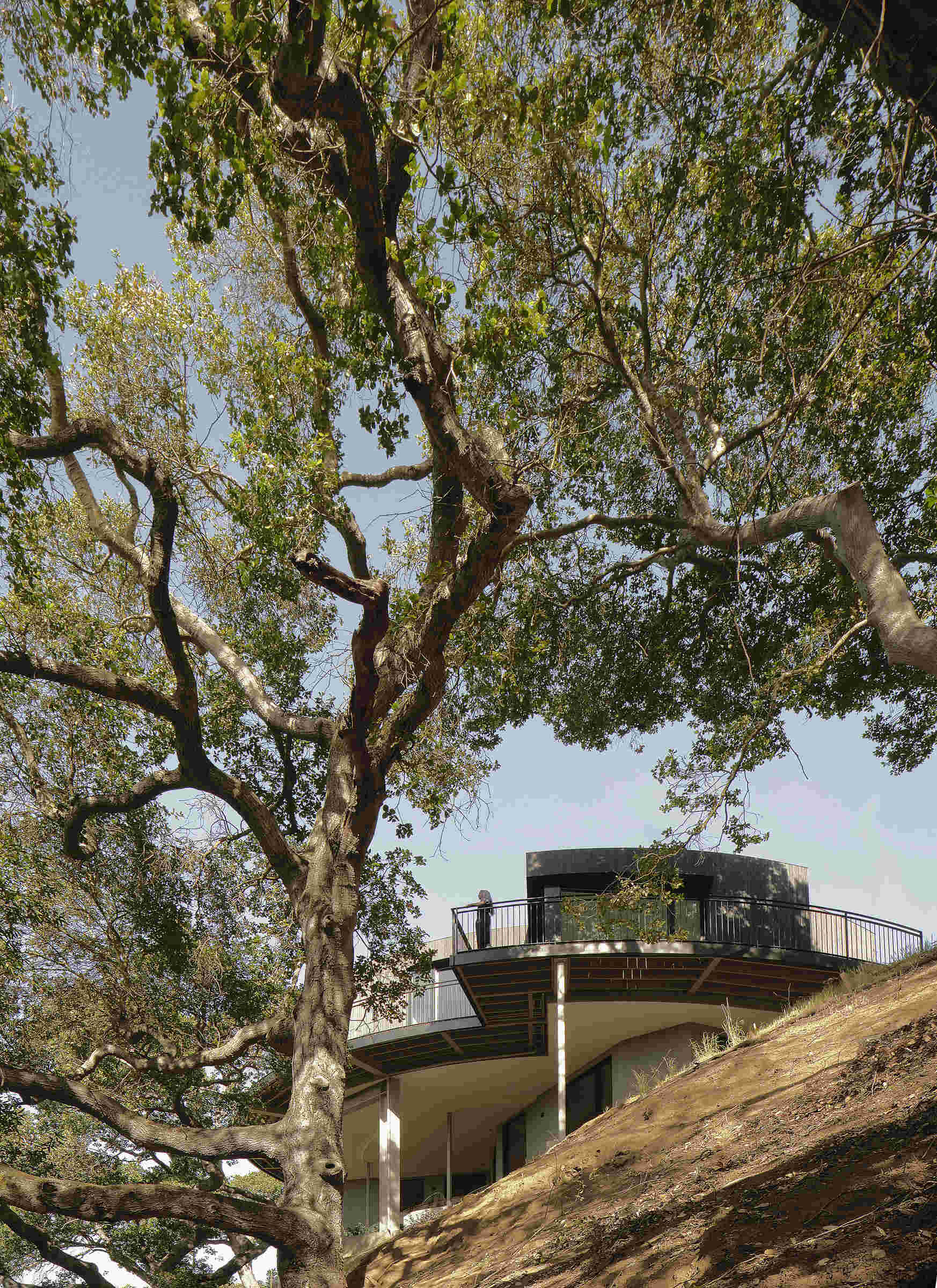Charred wood siding, seamless concrete floors, and curved white walls modernize the Round House while respecting its original 1960s geometry.